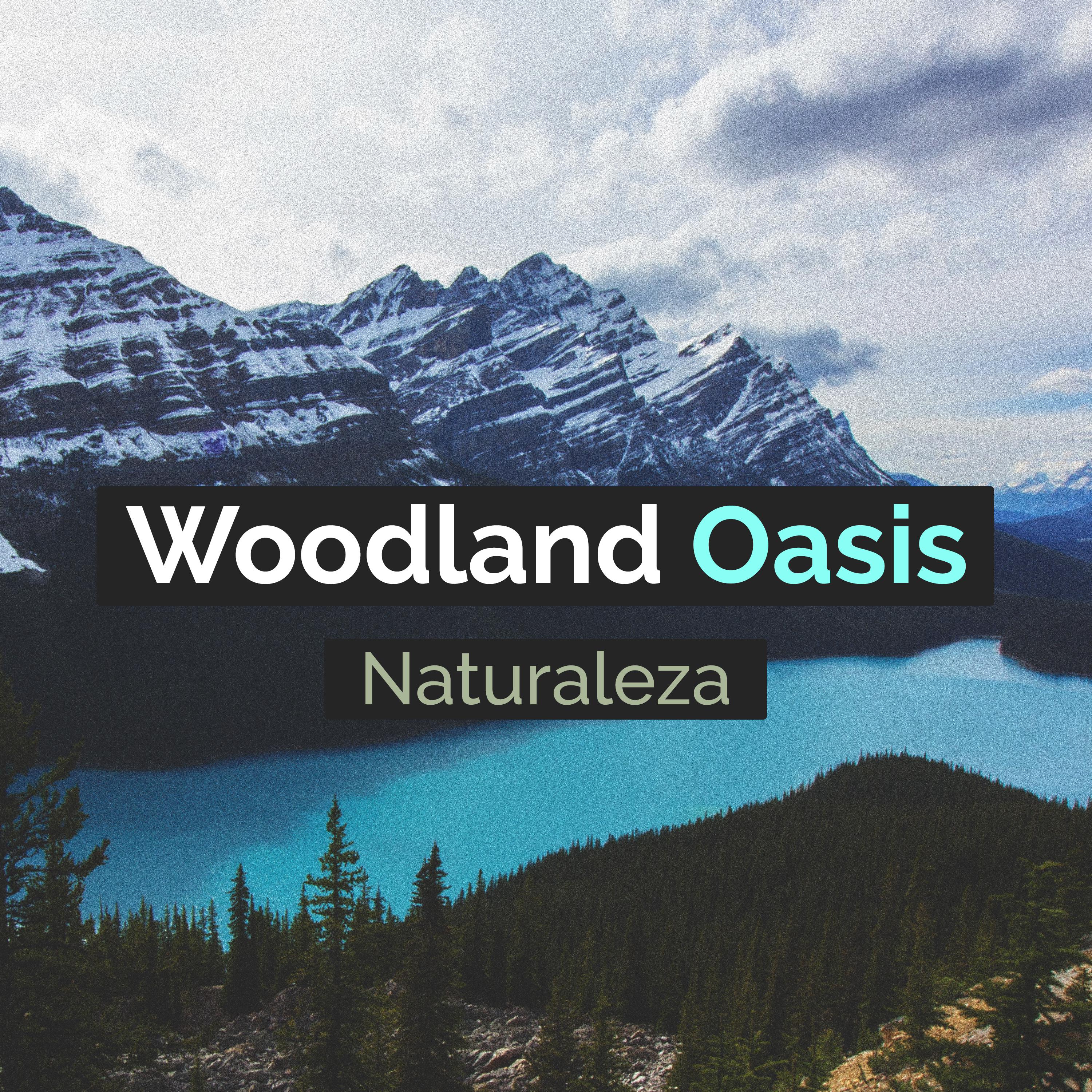 Woodland Oasis