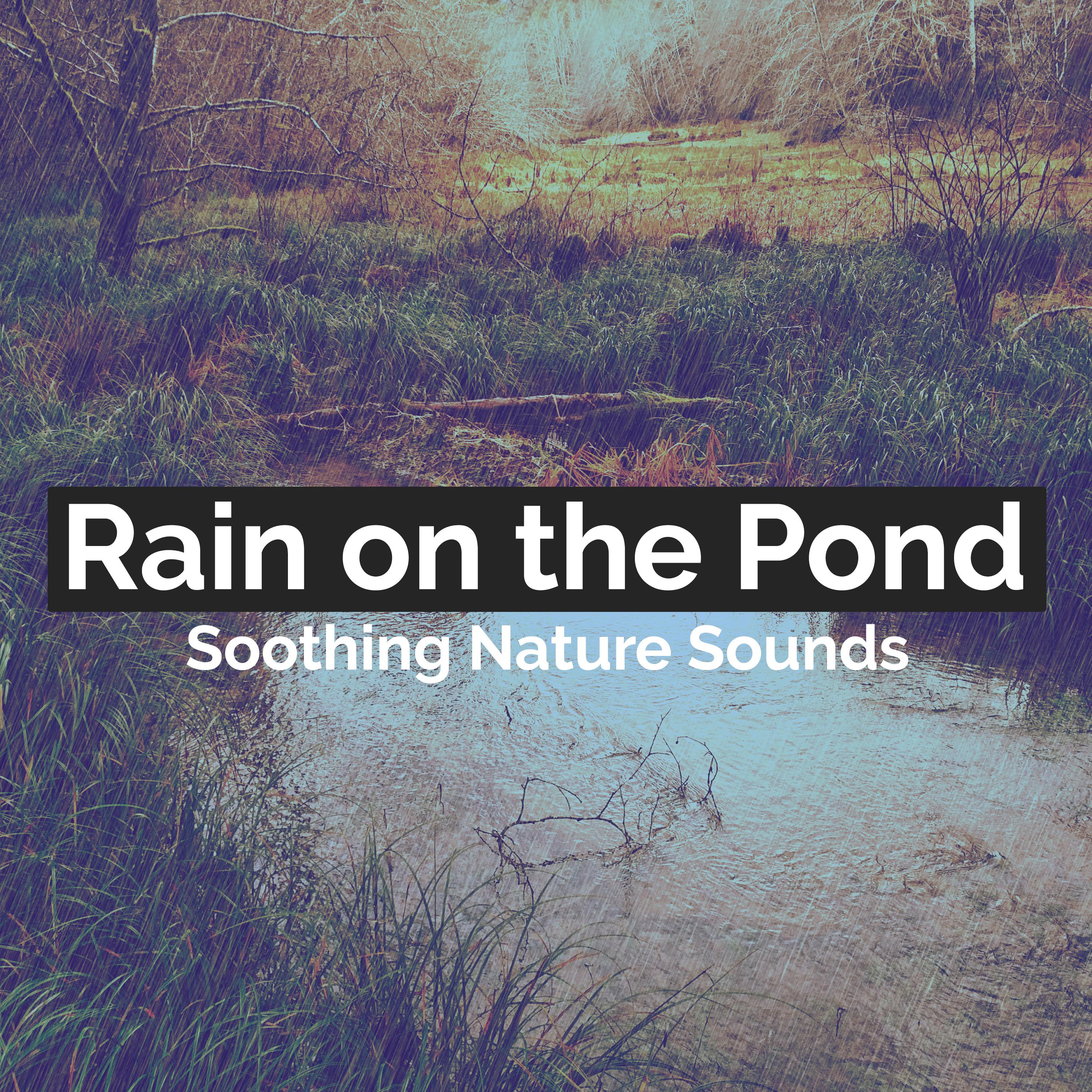 Rain on the Pond