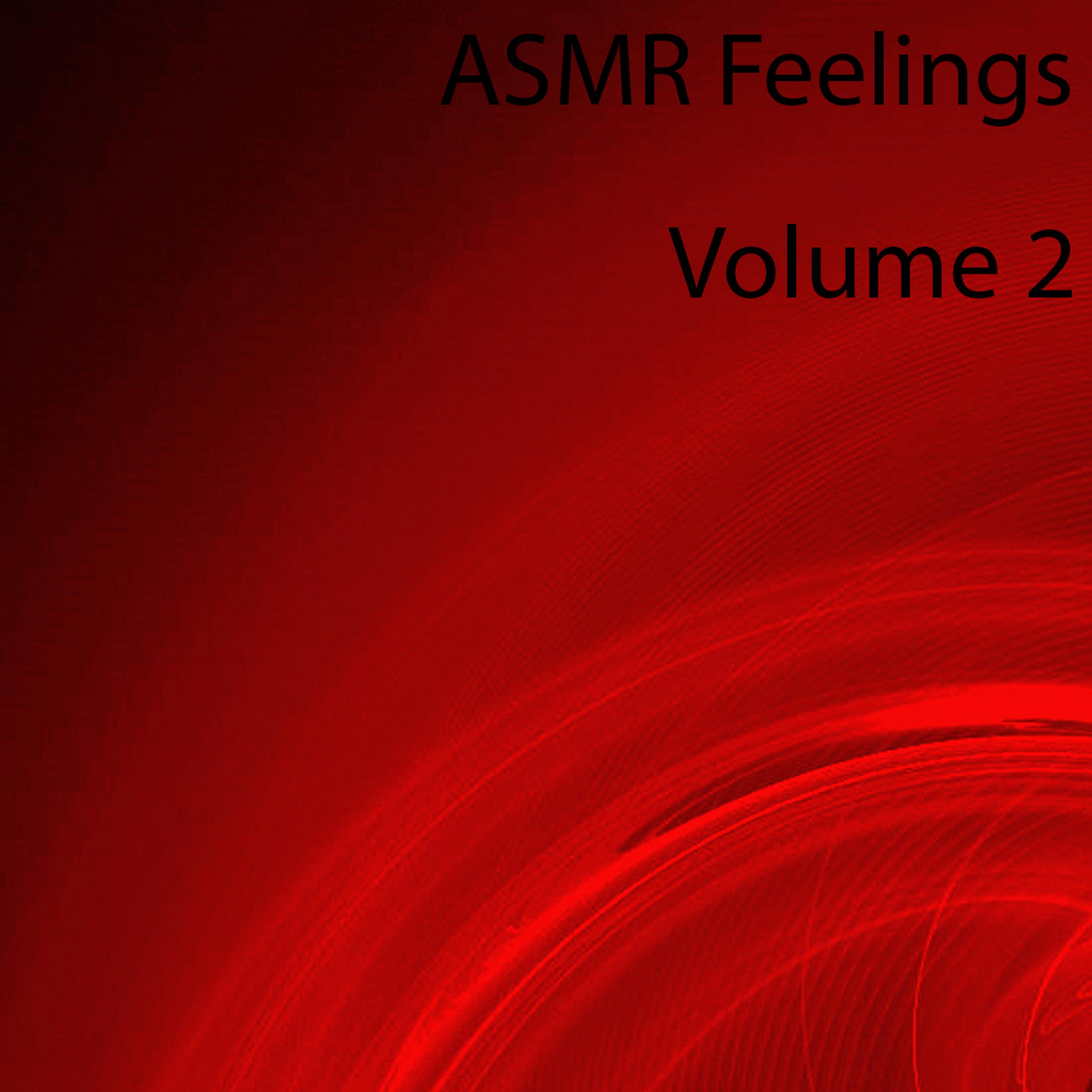ASMR Feelings, Vol. 2