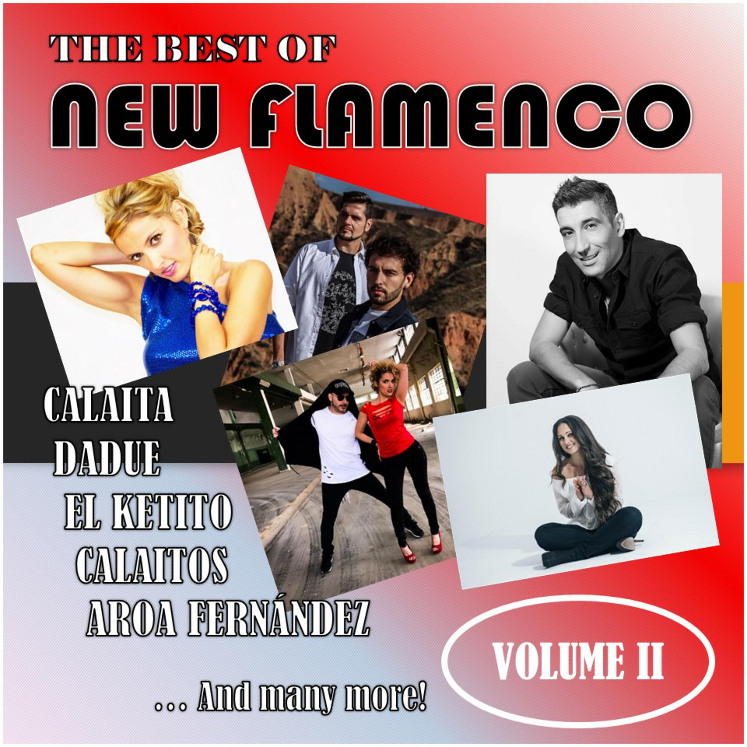 The Best of New Flamenco, Vol. II