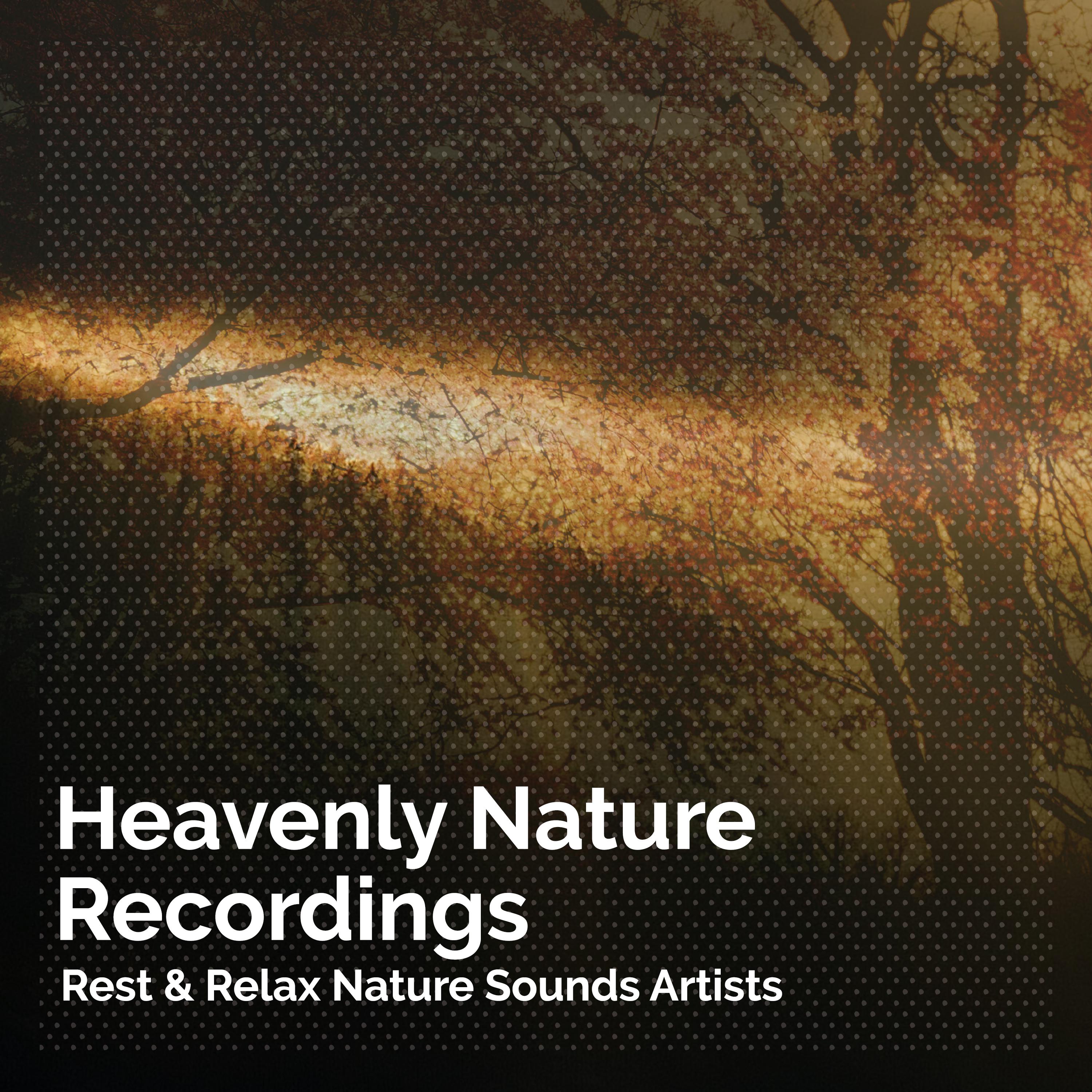 Heavenly Nature Recordings