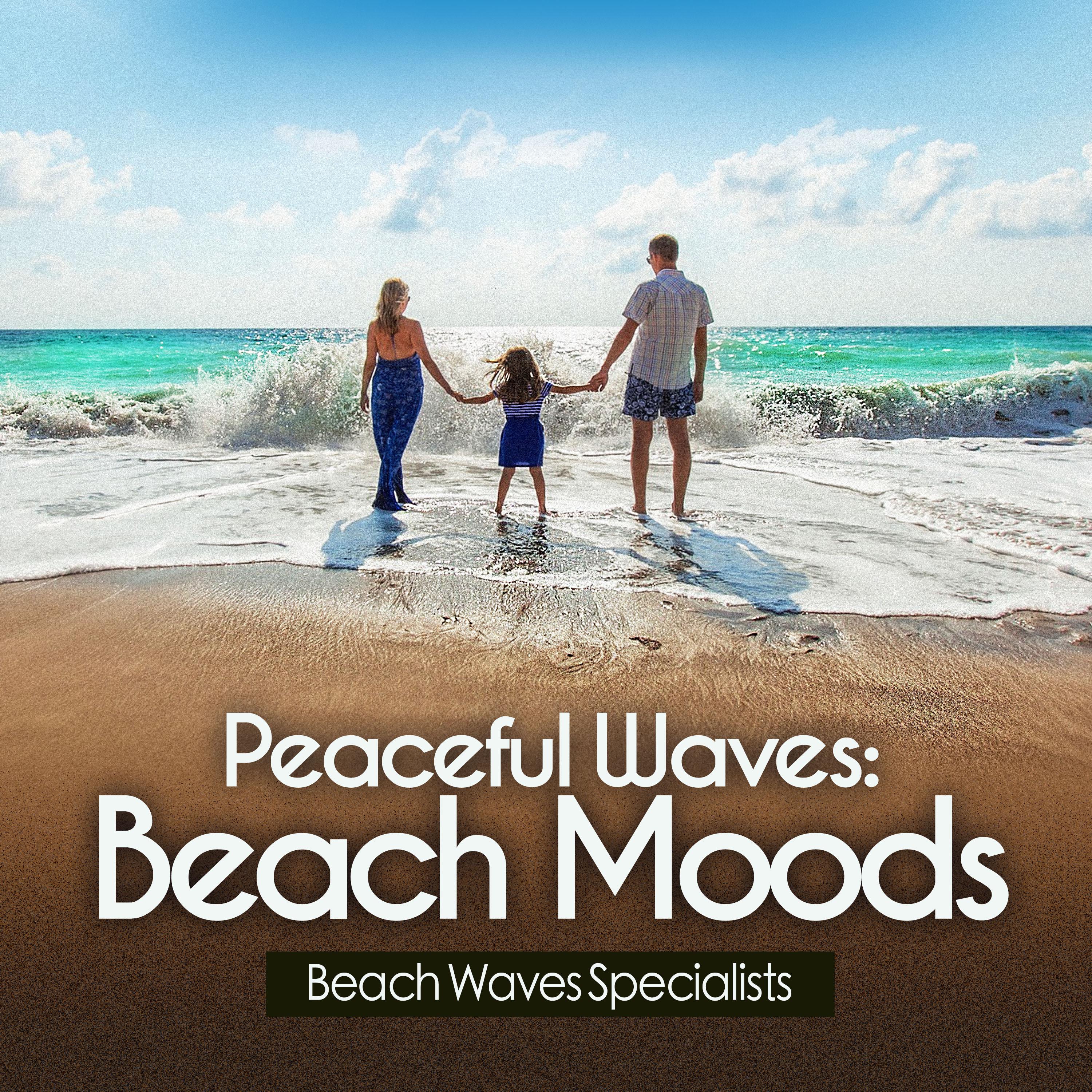 Peaceful Waves: Beach Moods