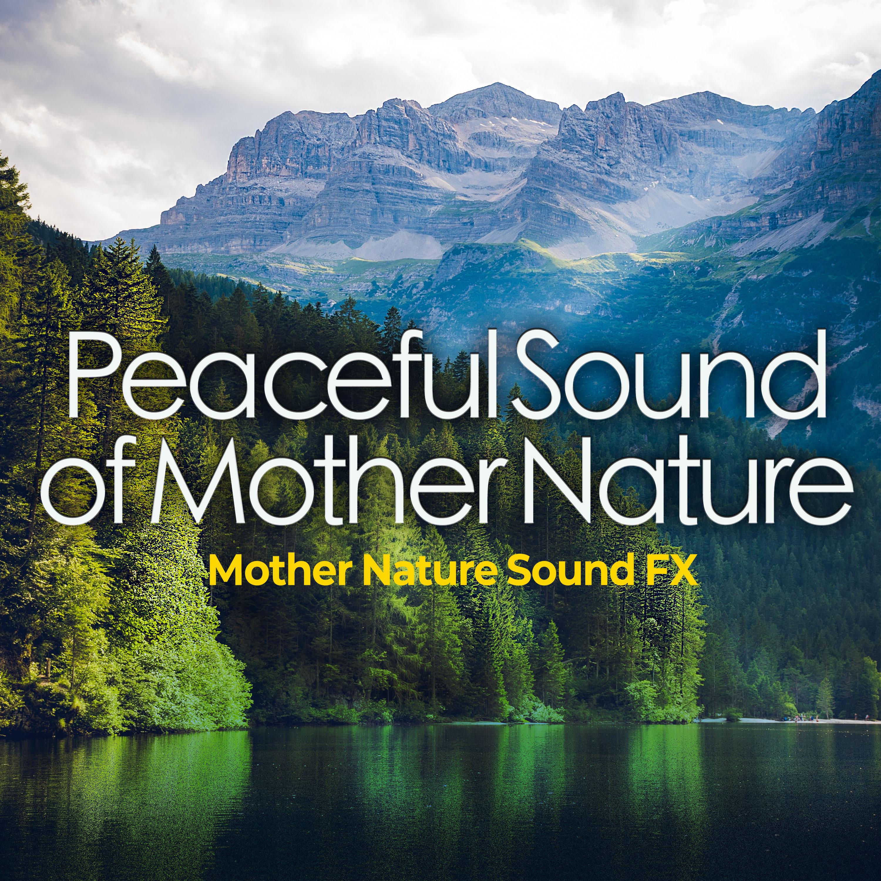Peaceful Sound of Mother Nature