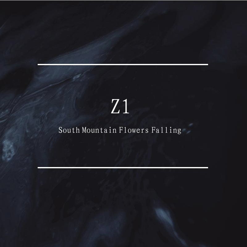 Z1