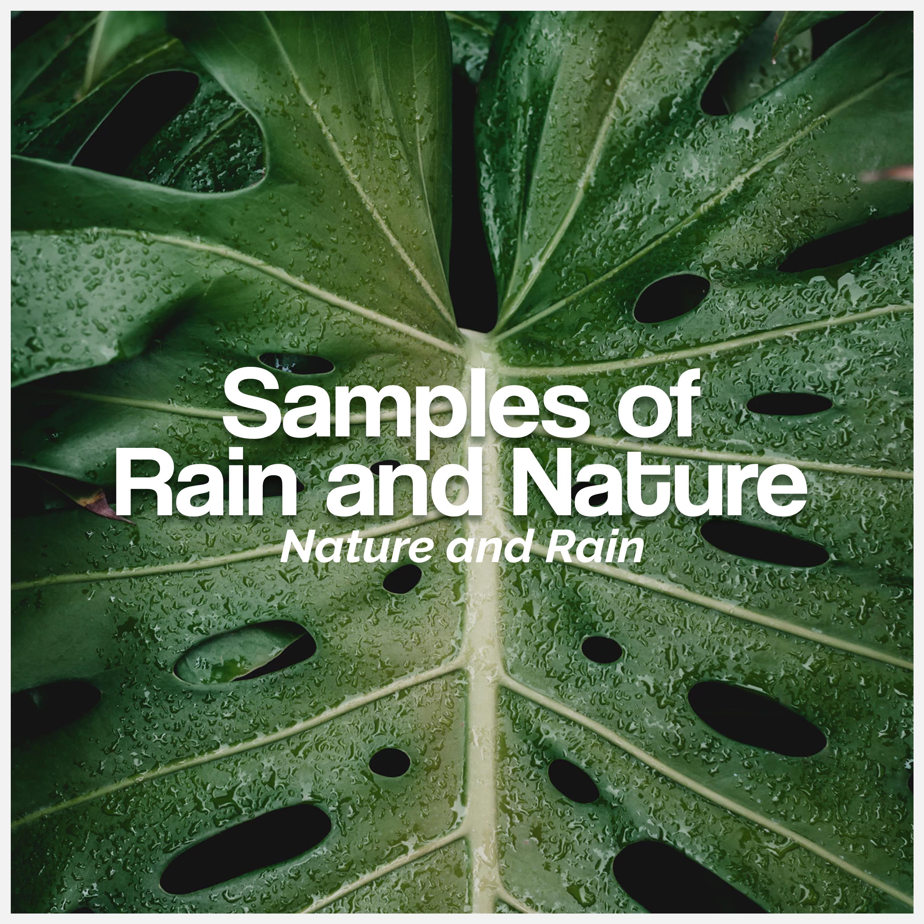 Samples of Rain and Nature