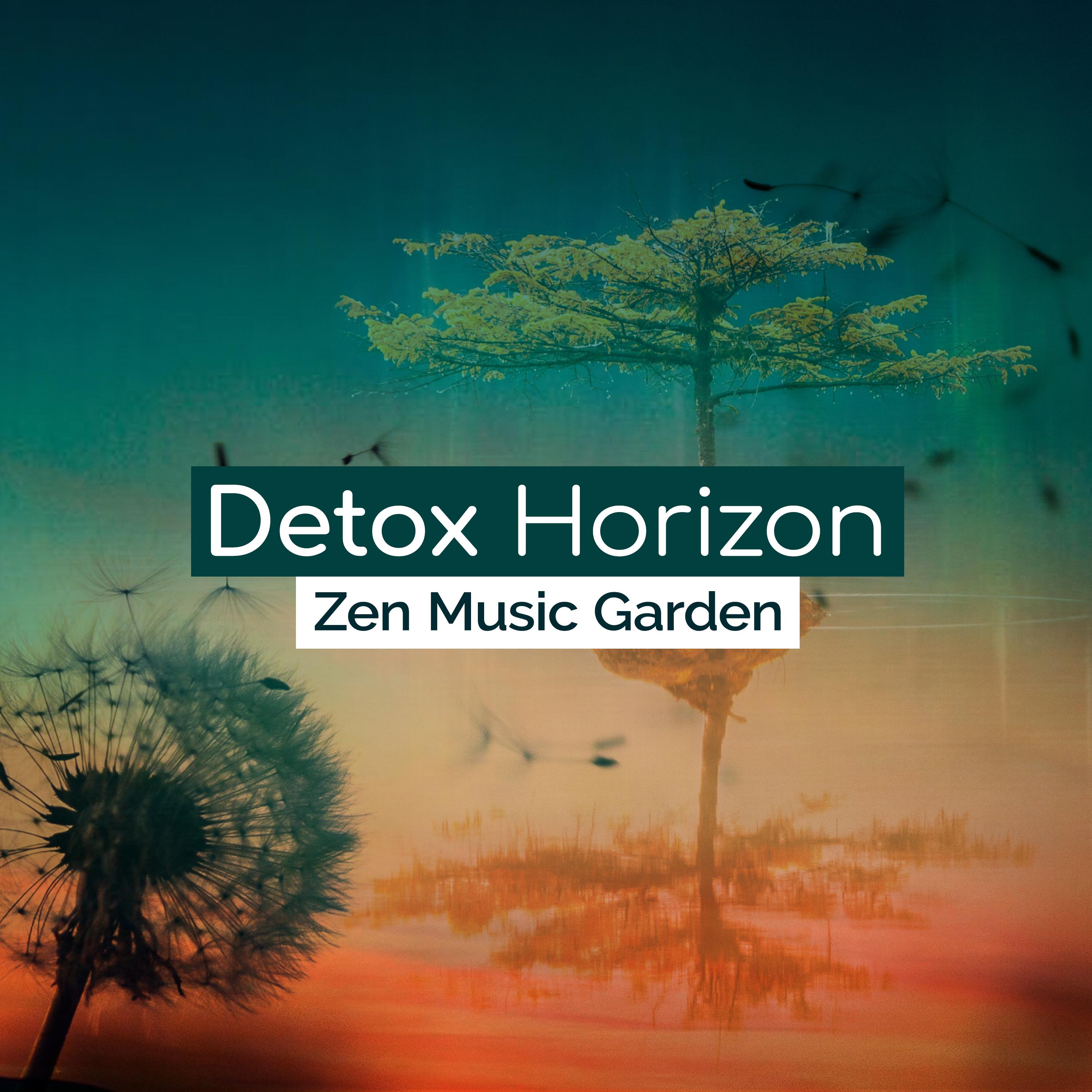 Detox Horizon