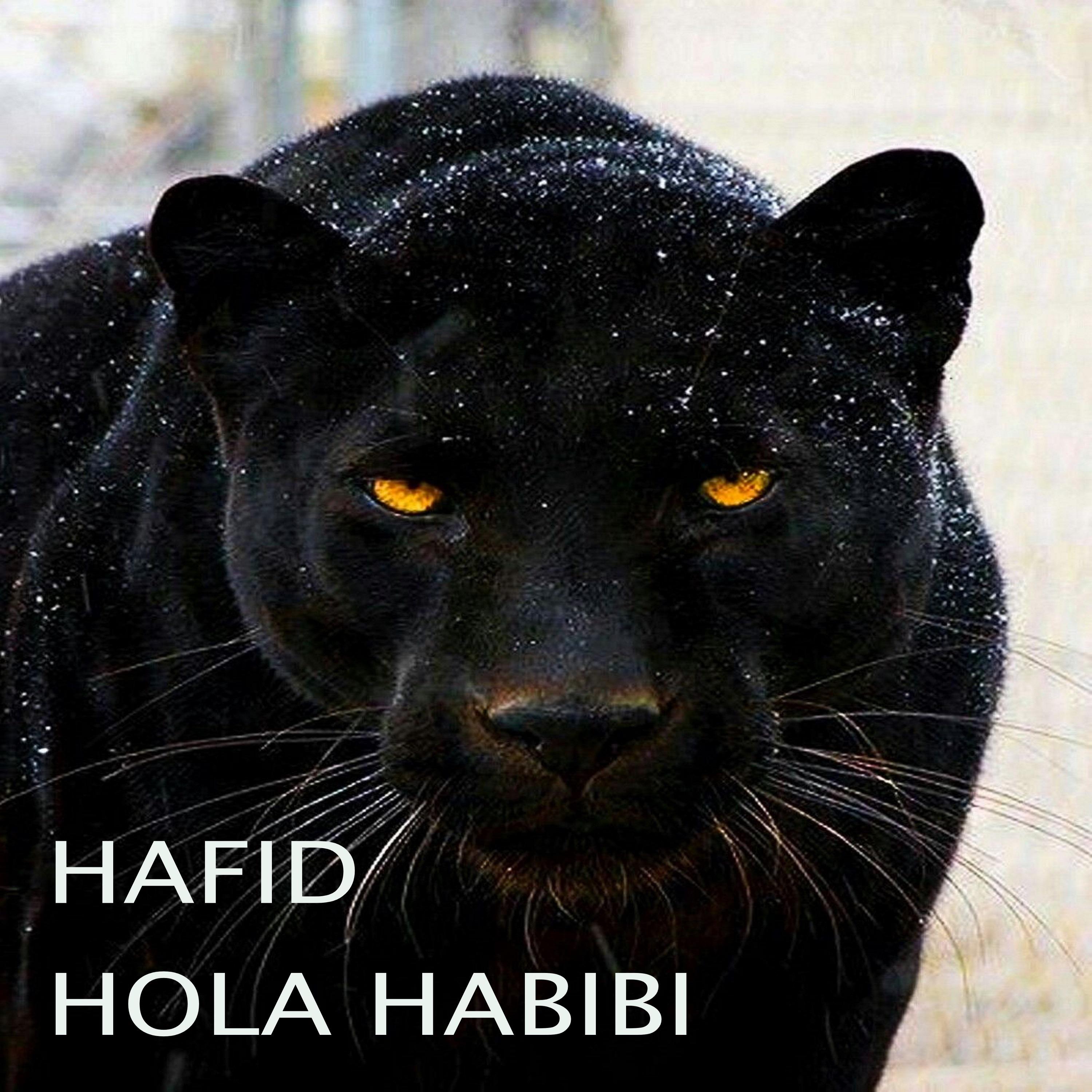 Hola Habibi