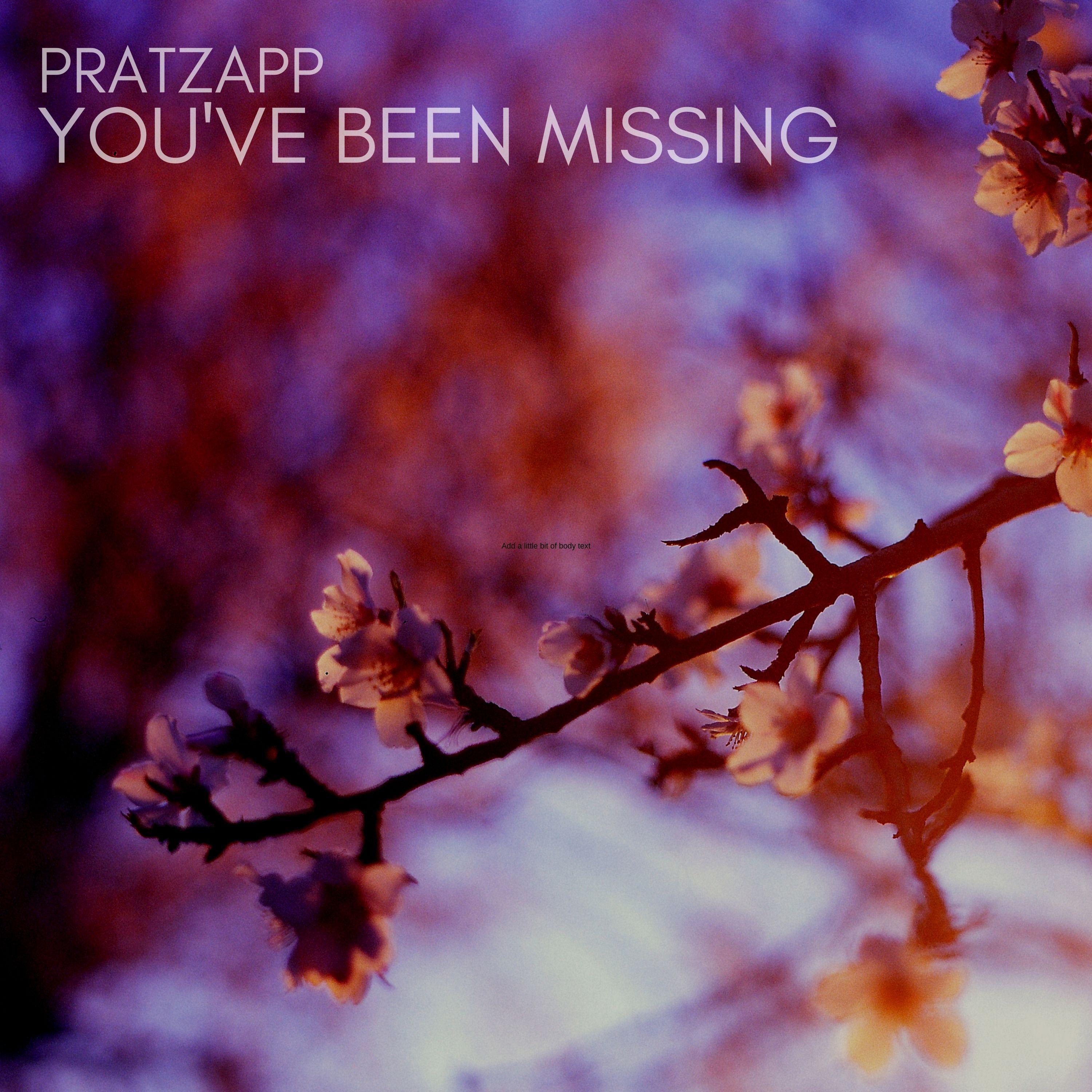You've Been Missing