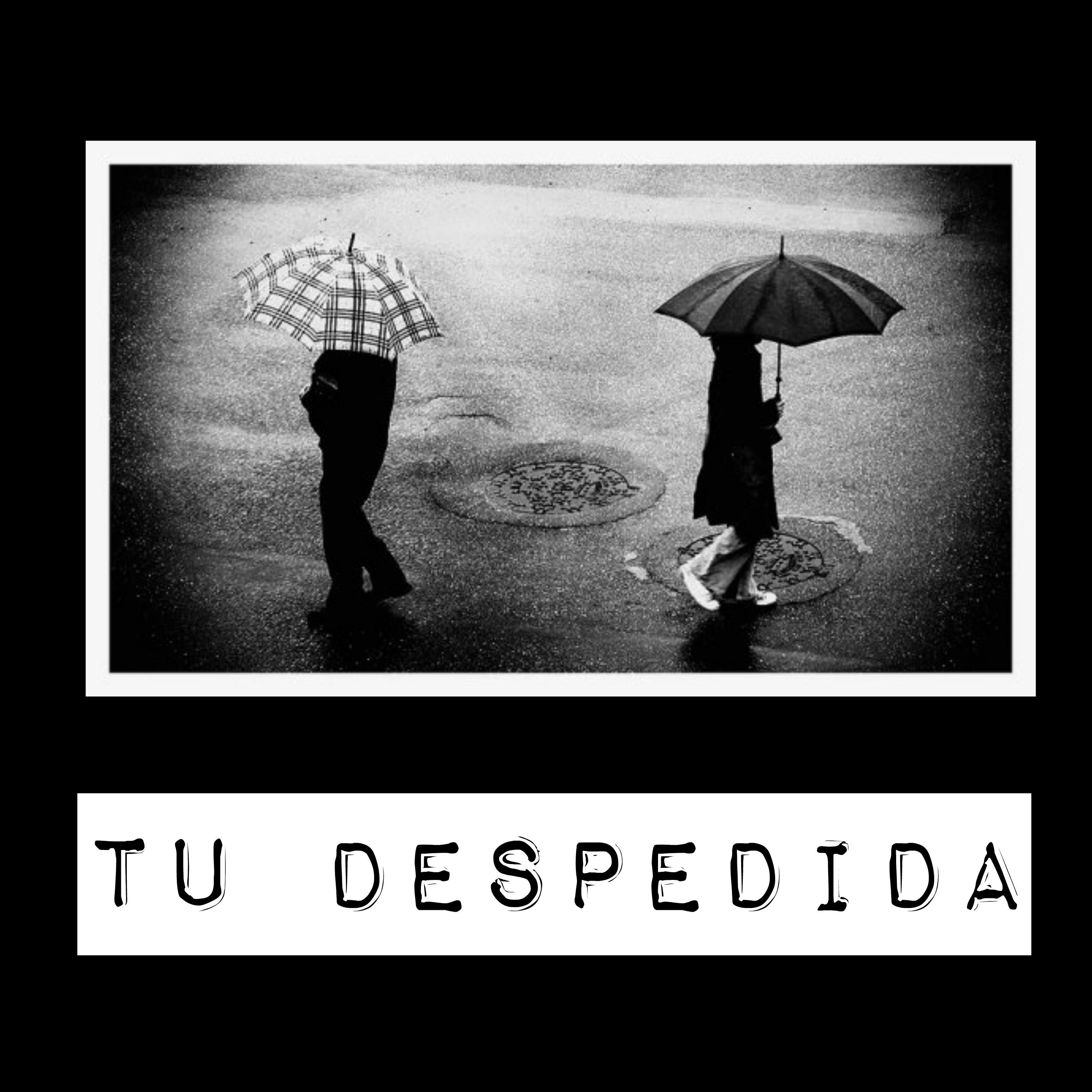 Tu Despedida