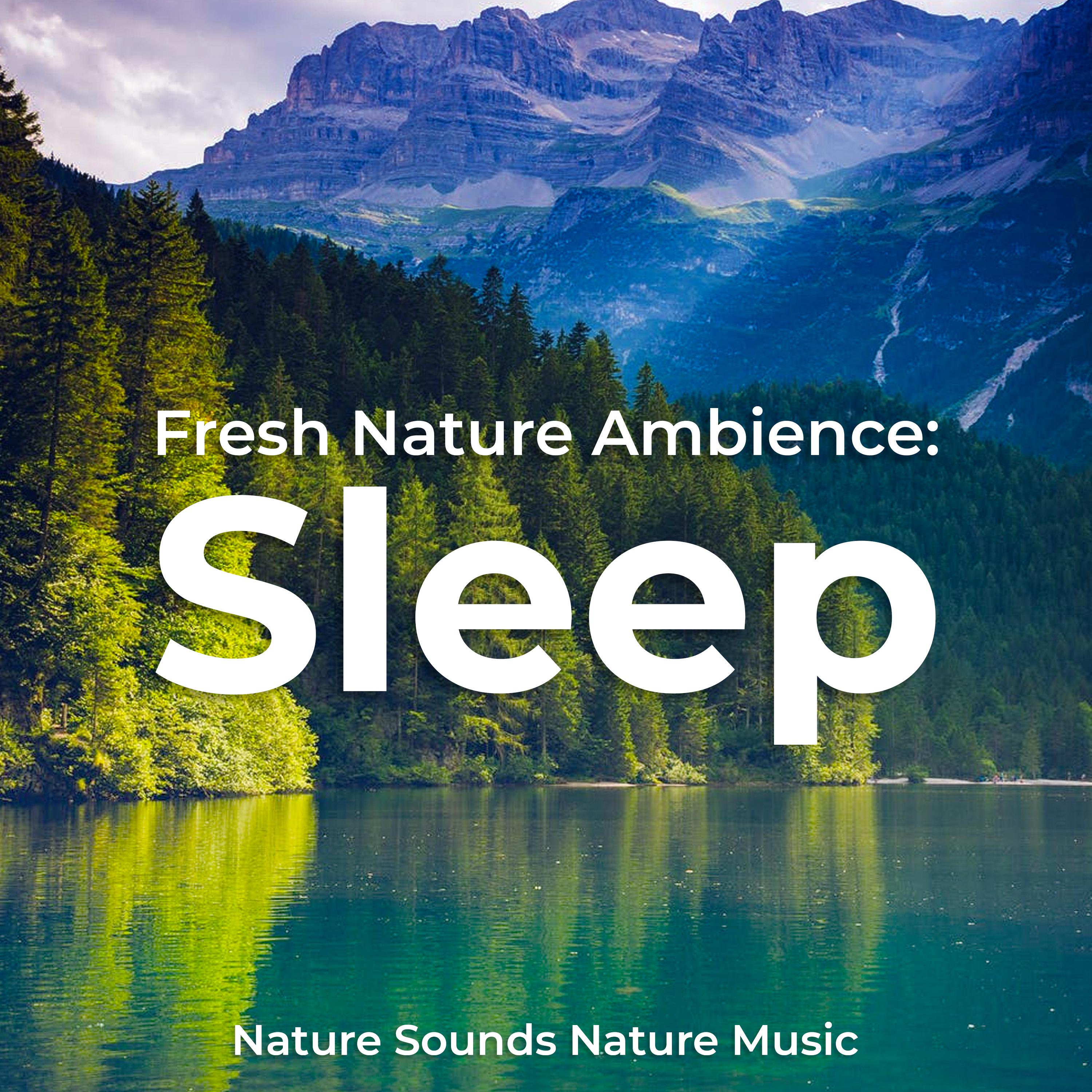 Fresh Nature Ambience: Sleep