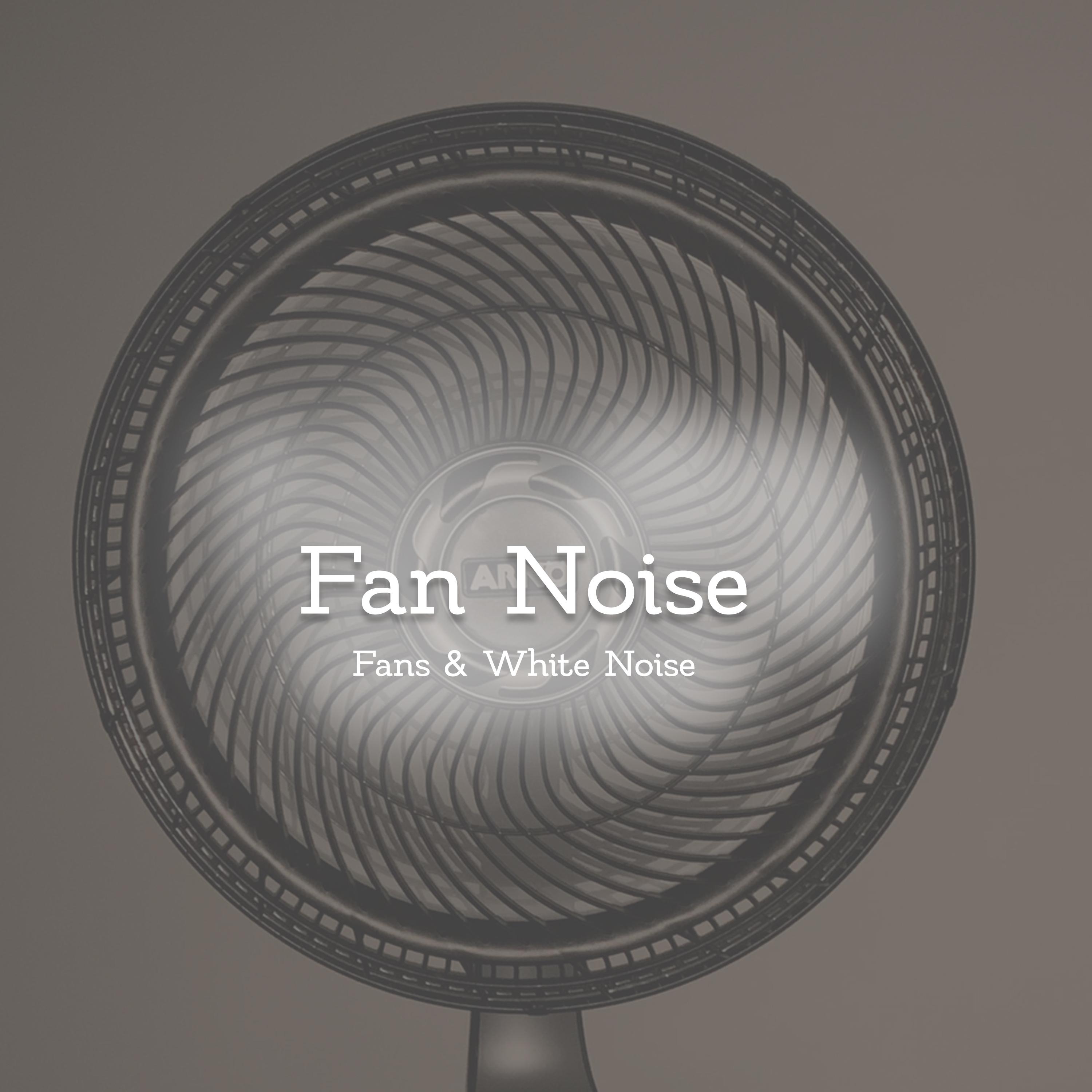 Fan Noise