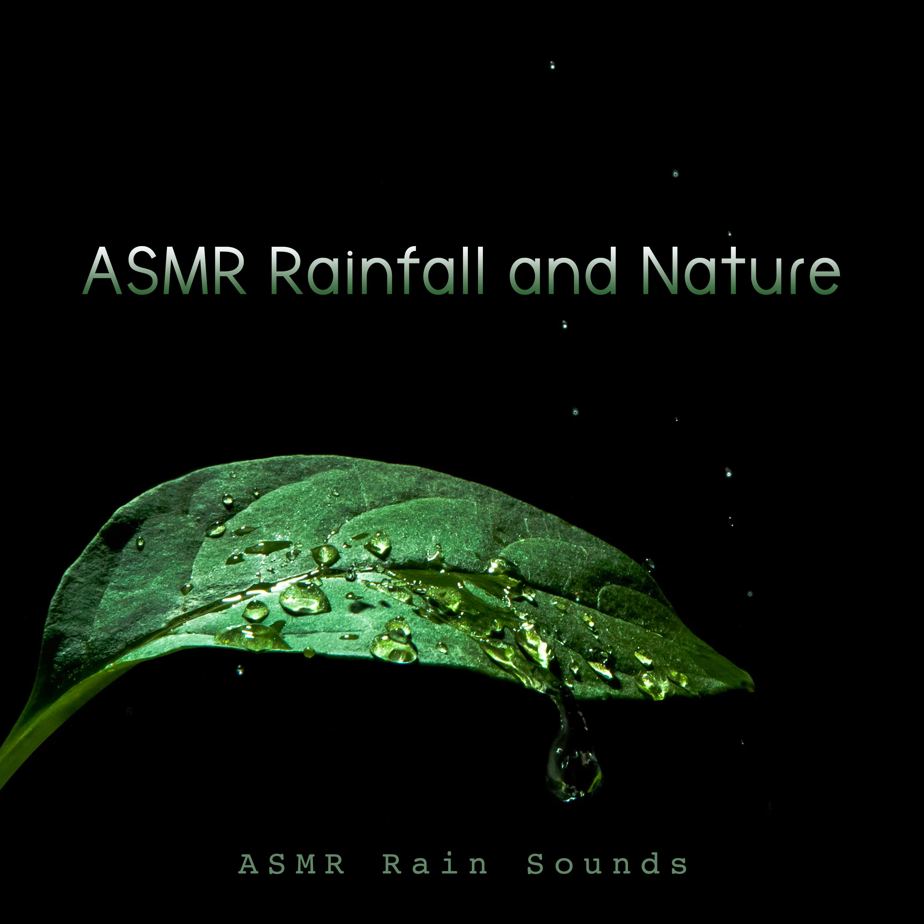 ASMR Rainfall and Nature