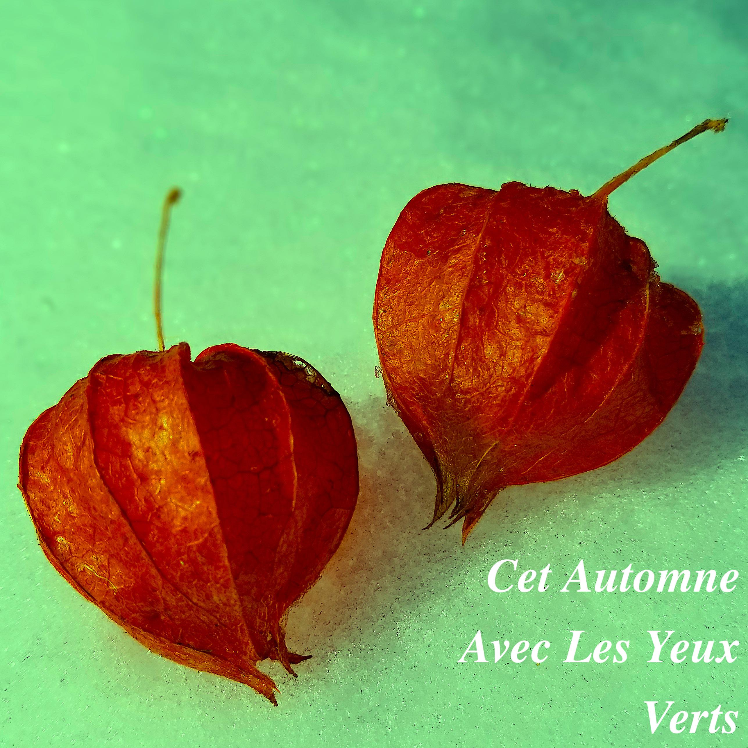 Cet Automne Avec Les Yeux Verts