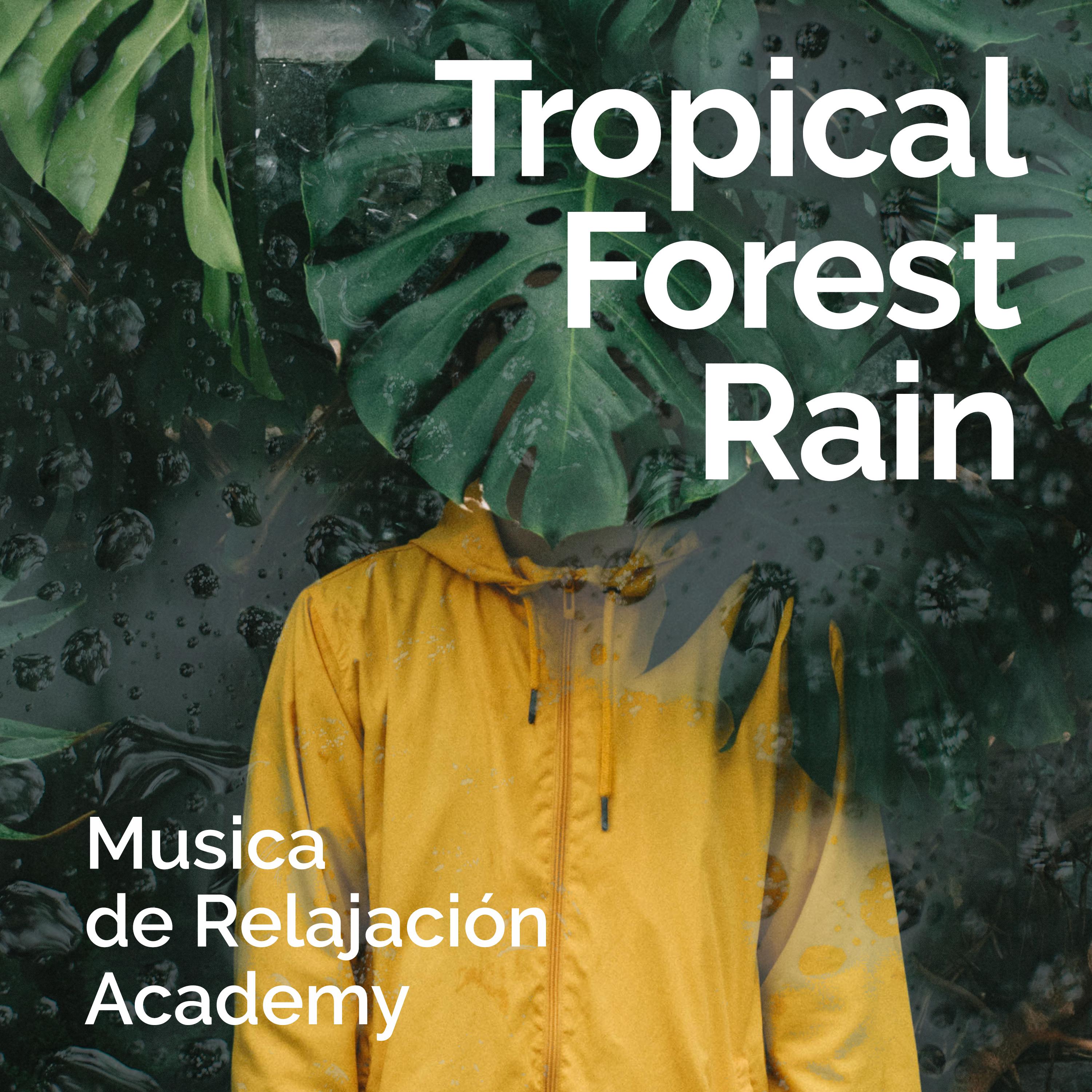 Tropical Forest Rain