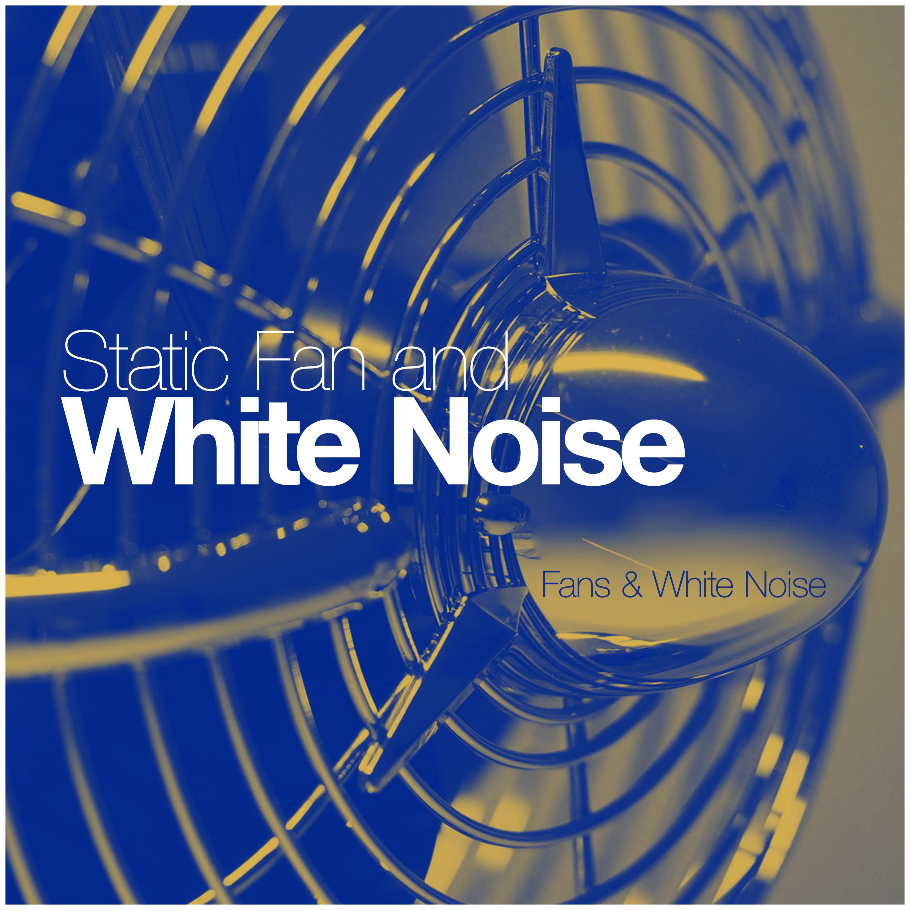 Static Fan and White Noise