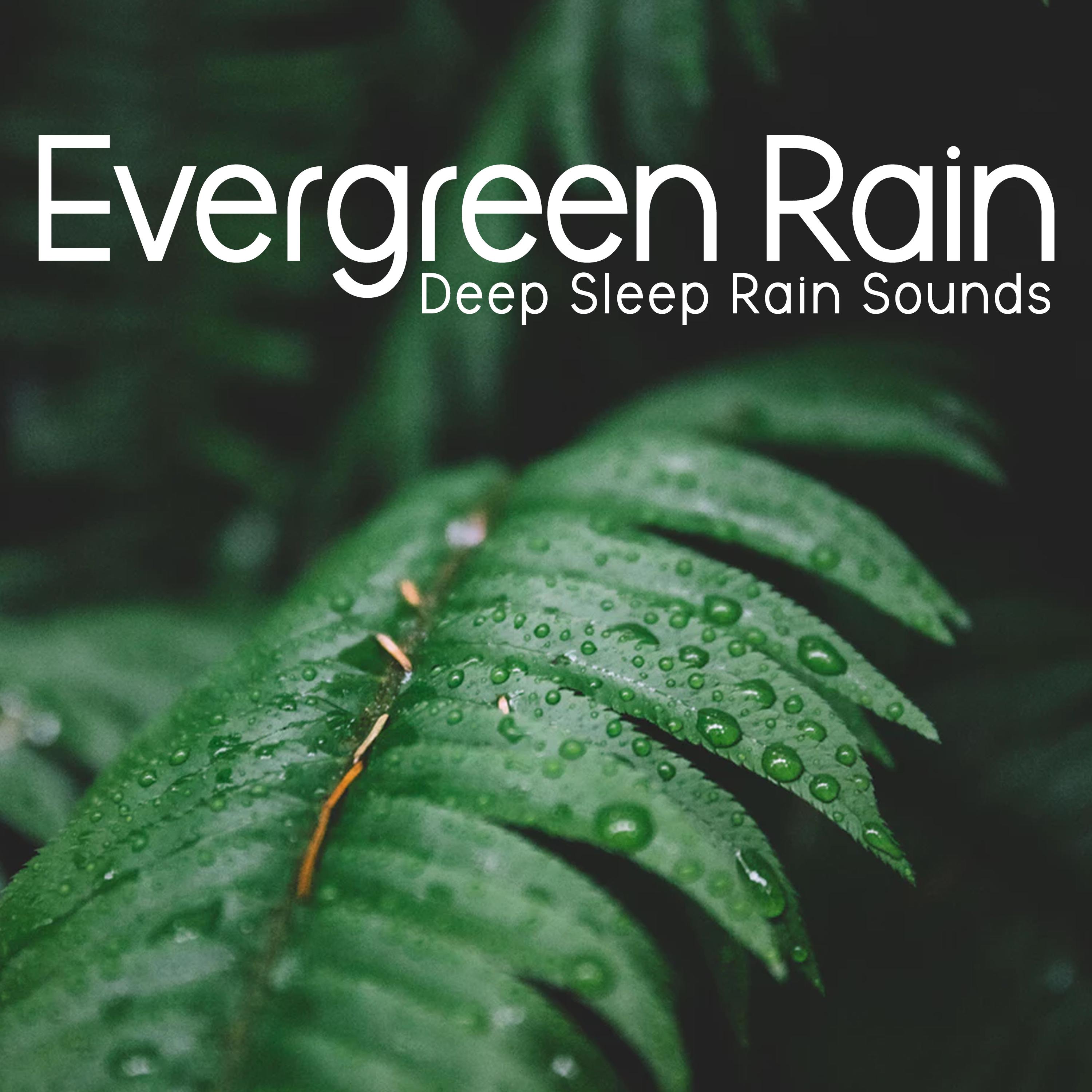 Evergreen Rain