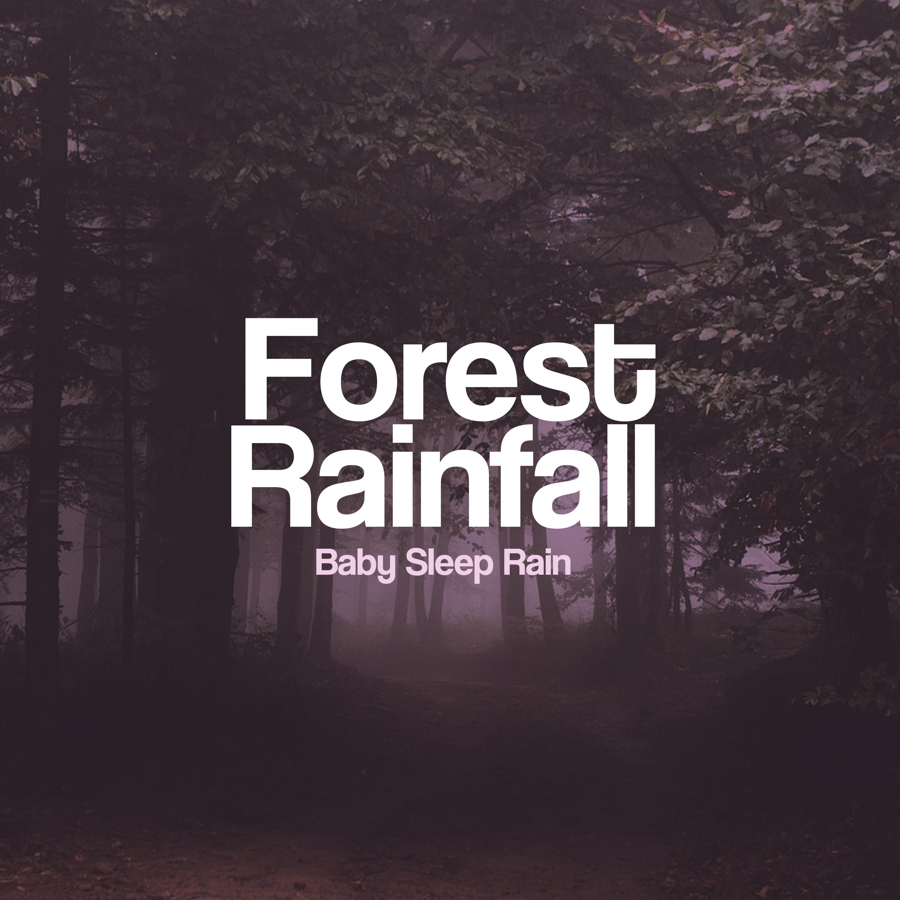 Forest Rainfall