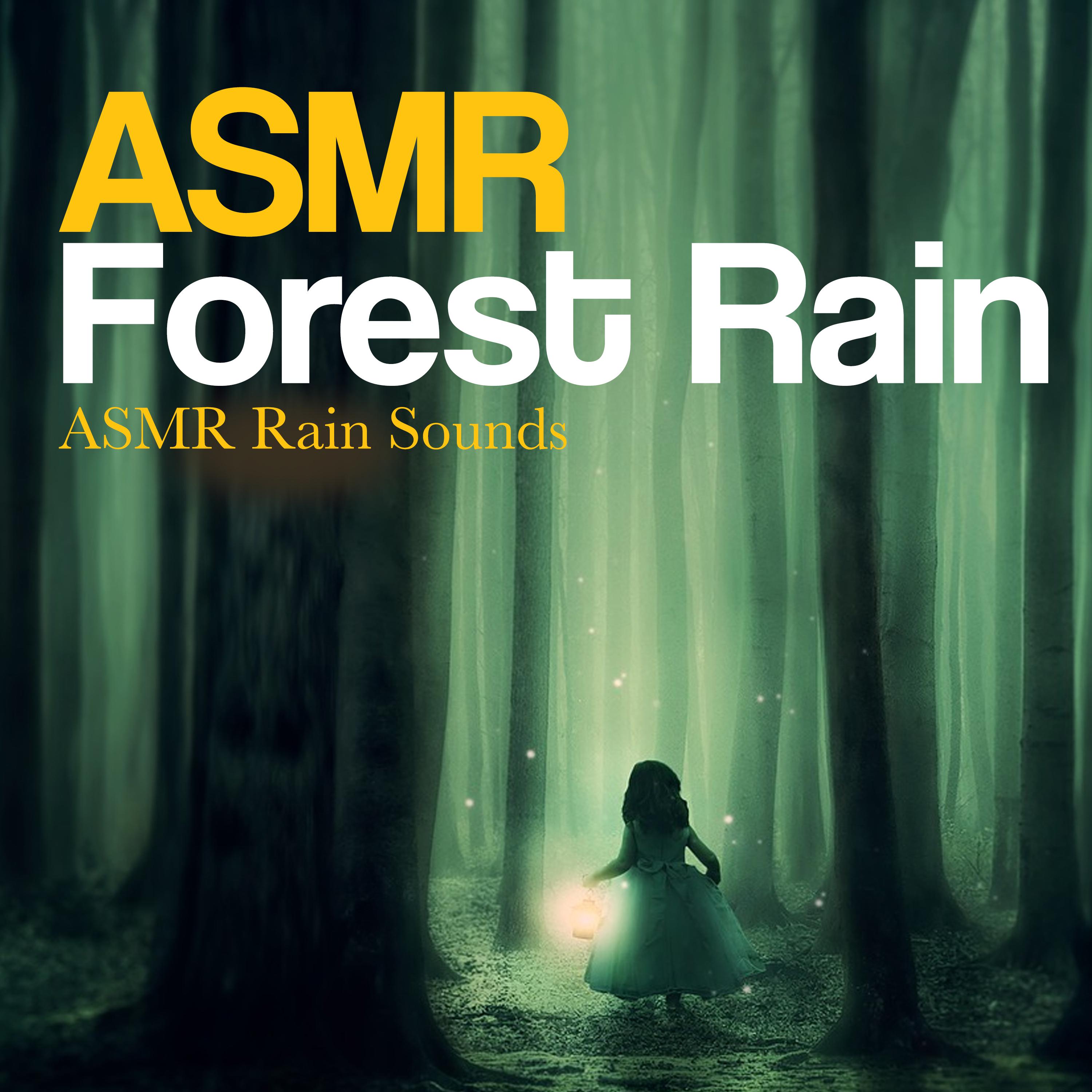 ASMR Forest Rain