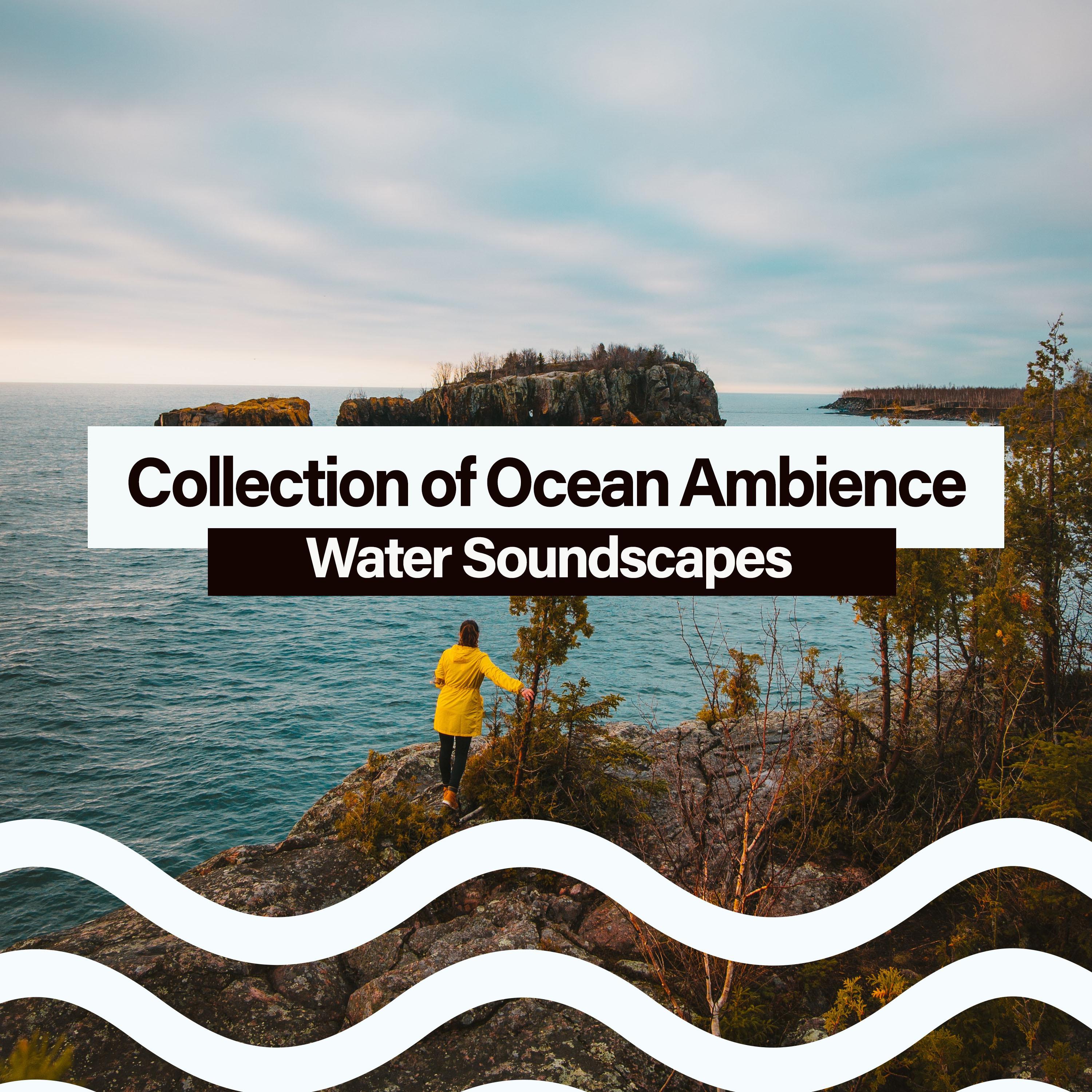 Collection of Ocean Ambience