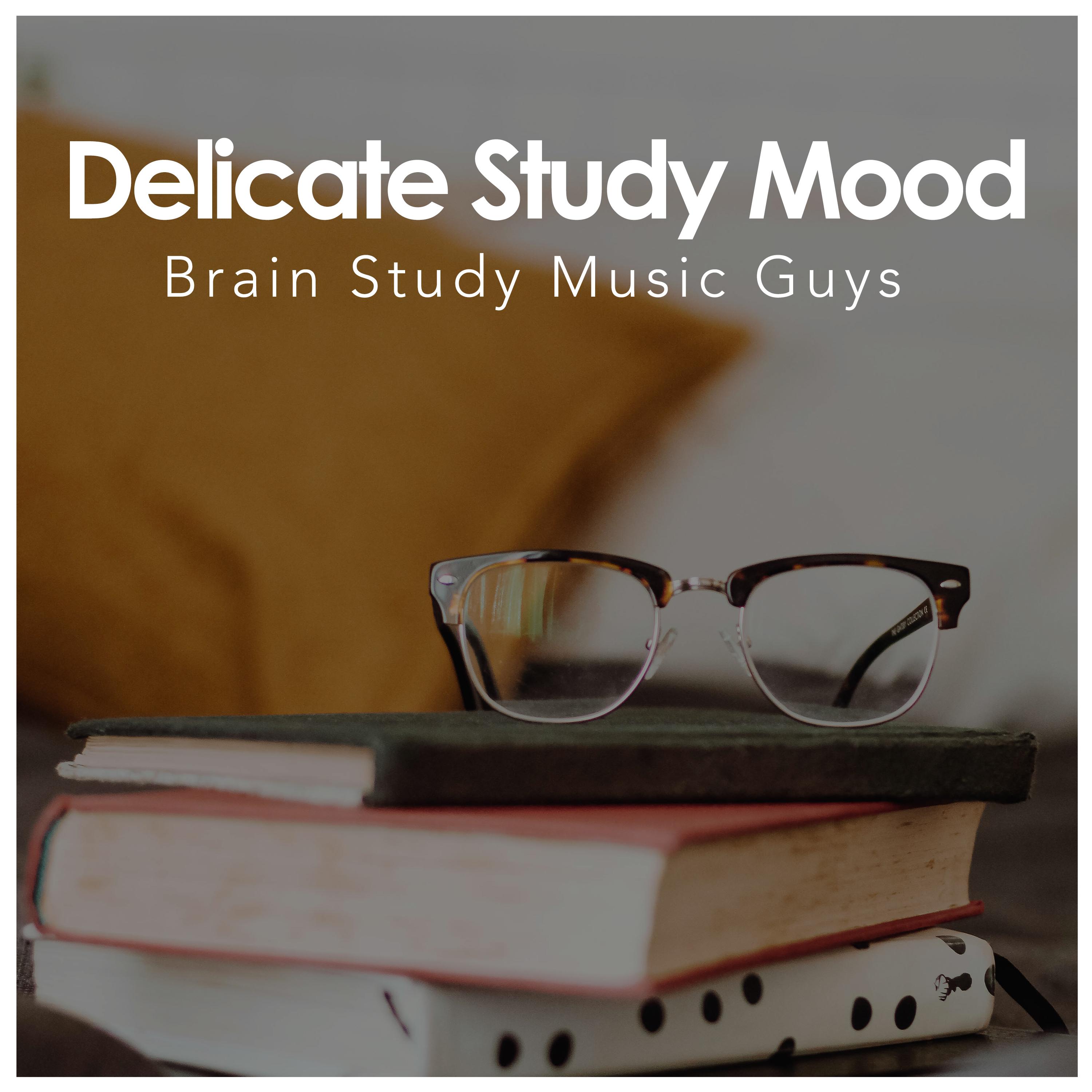 Delicate Study Mood