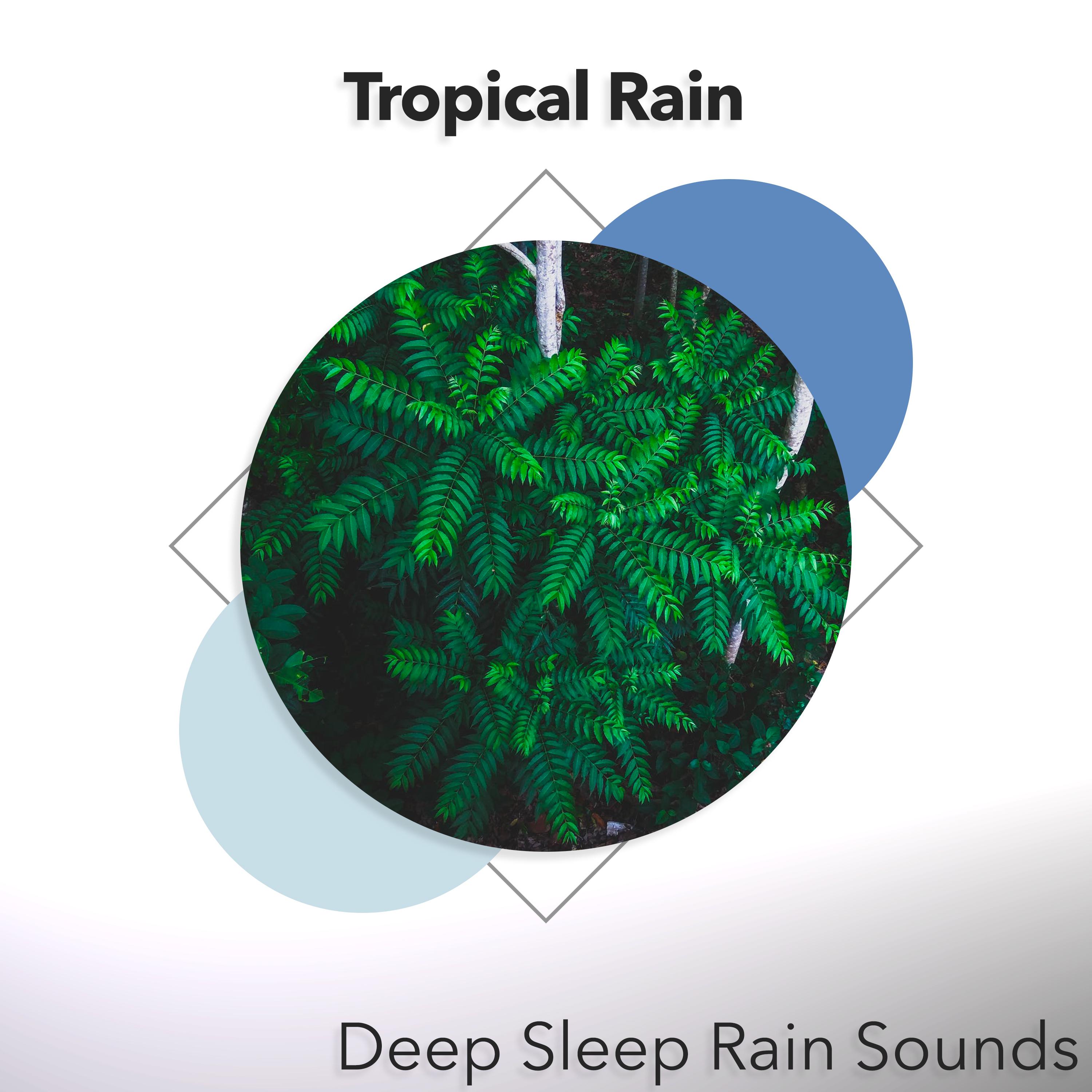 Tropical Rain