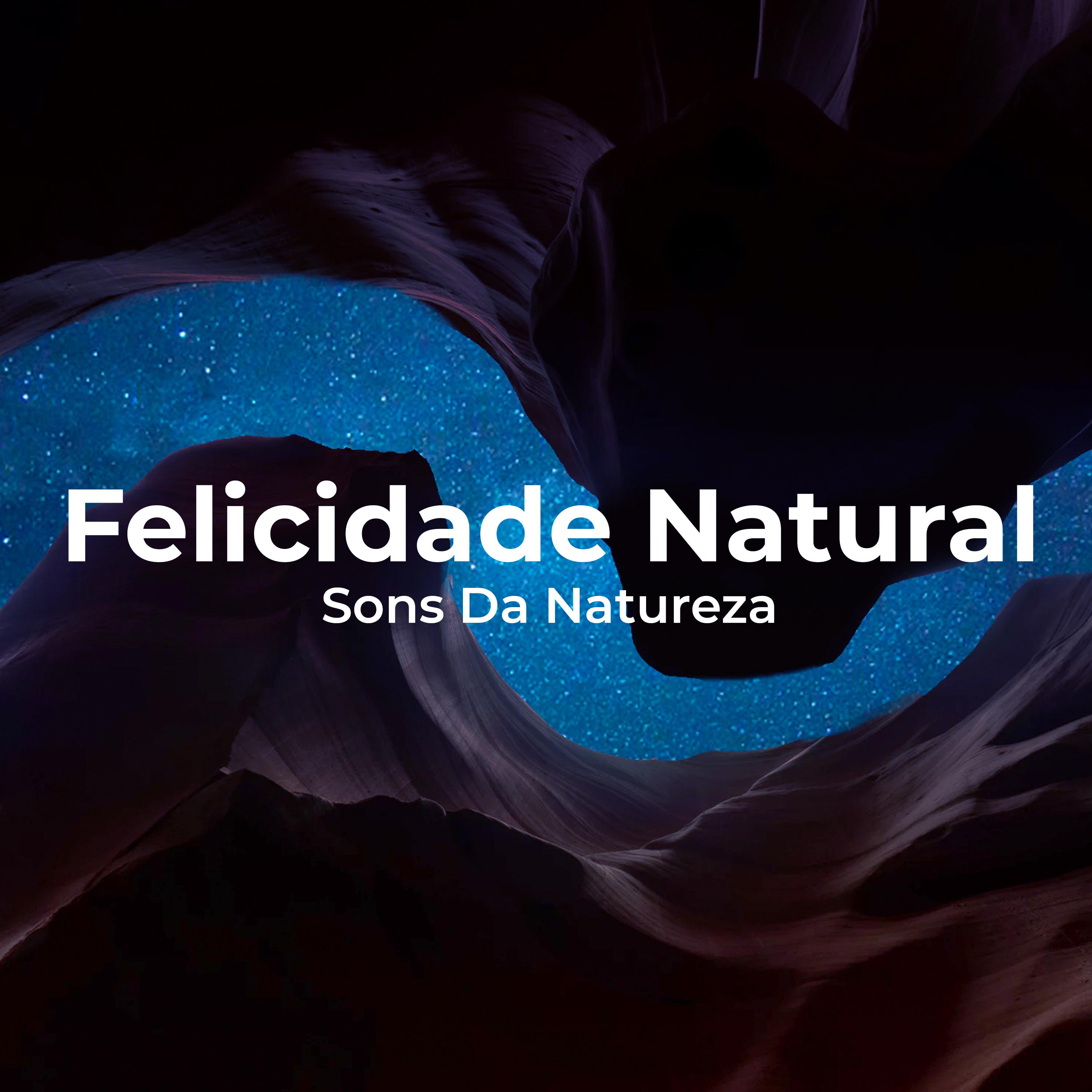 Felicidade Natural