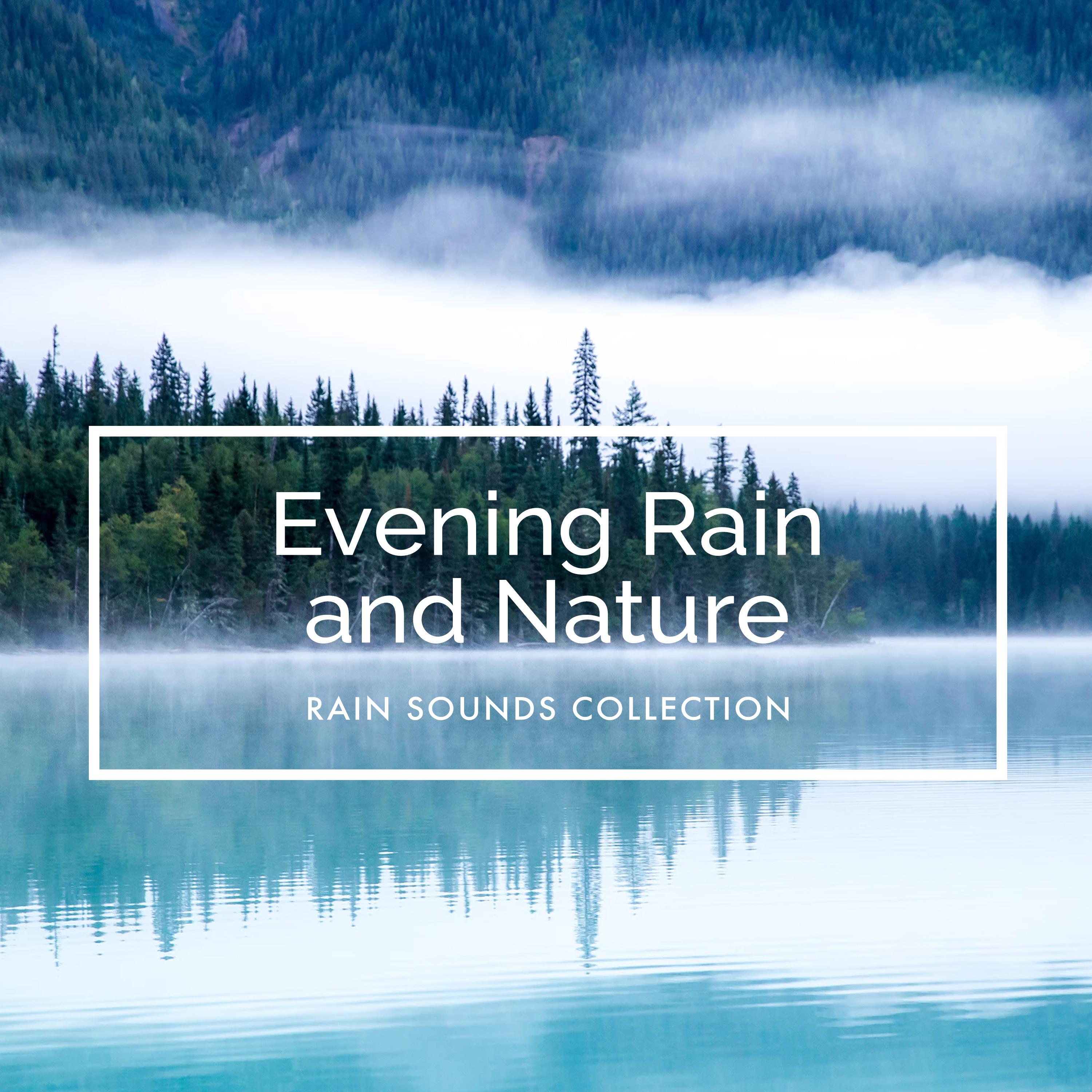 Evening Rain and Nature