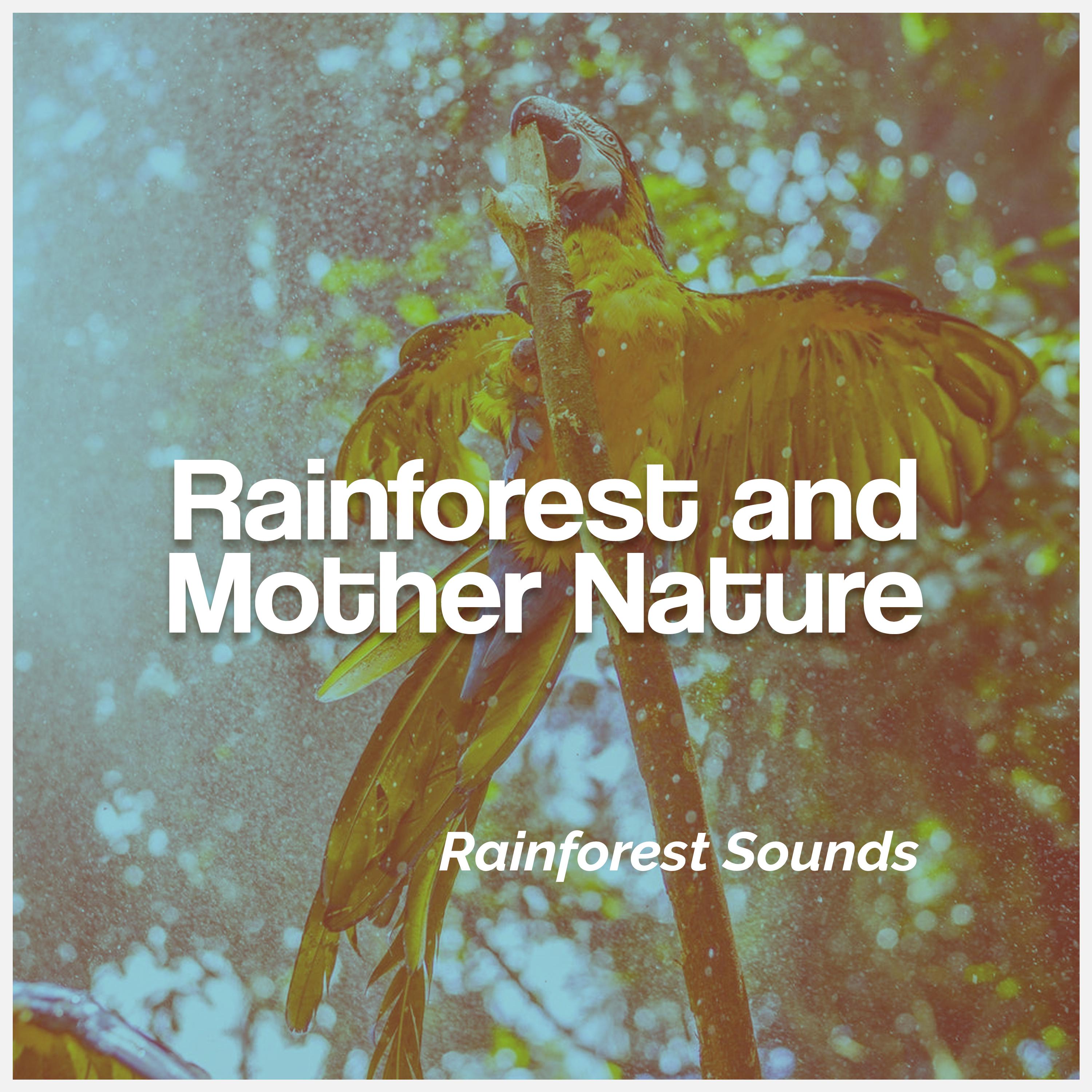 Rainforest and Mother Nature