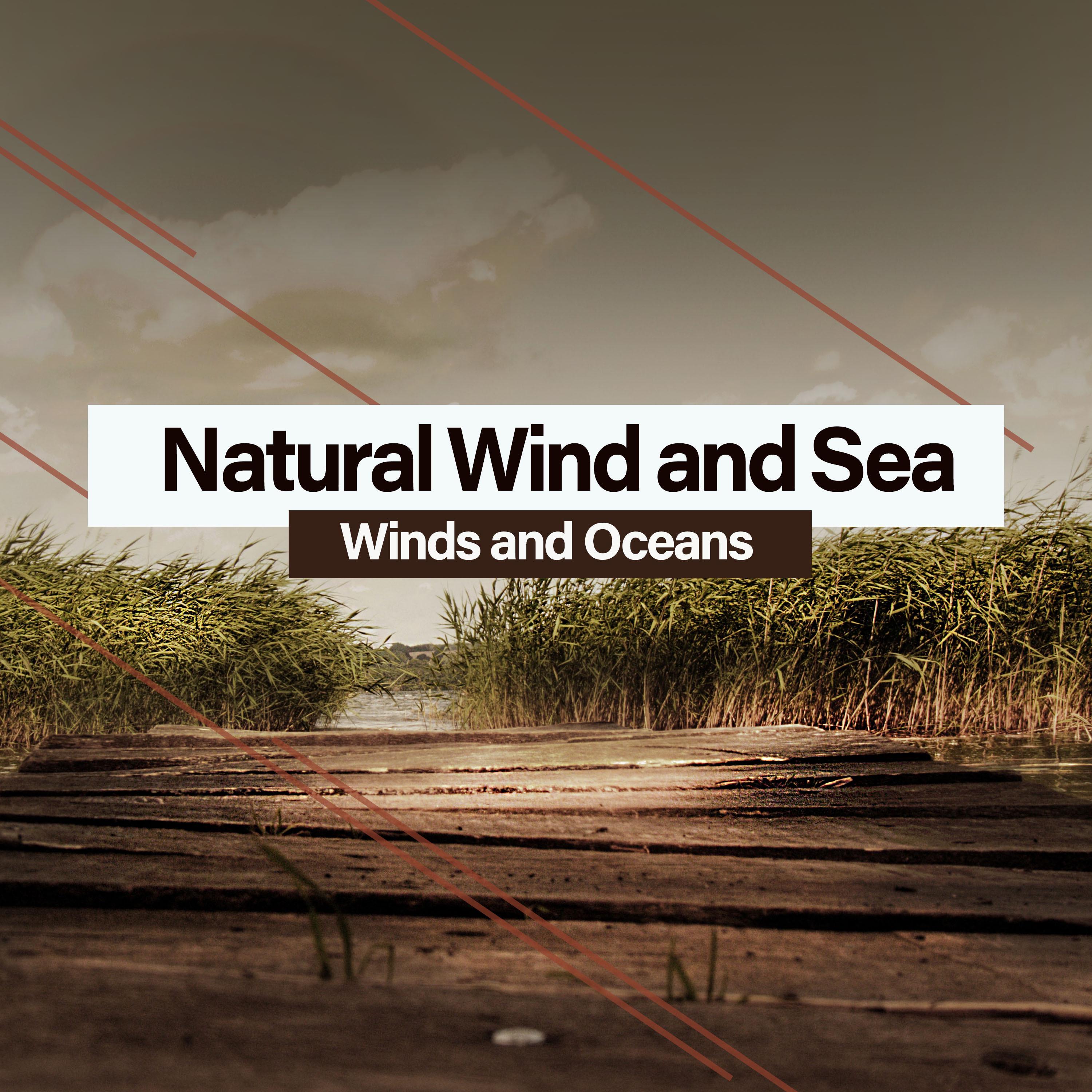 Natural Wind and Sea