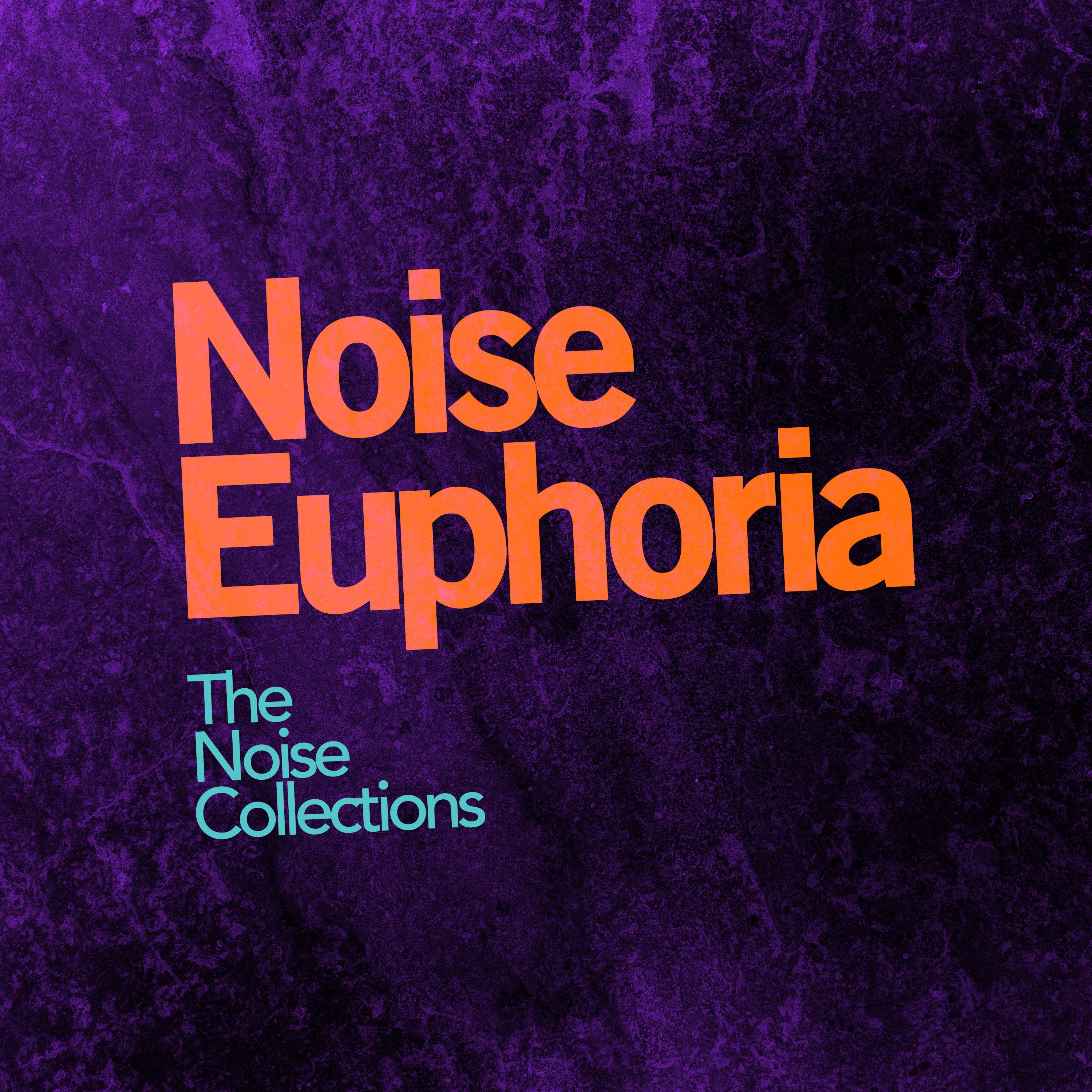 Noise Euphoria