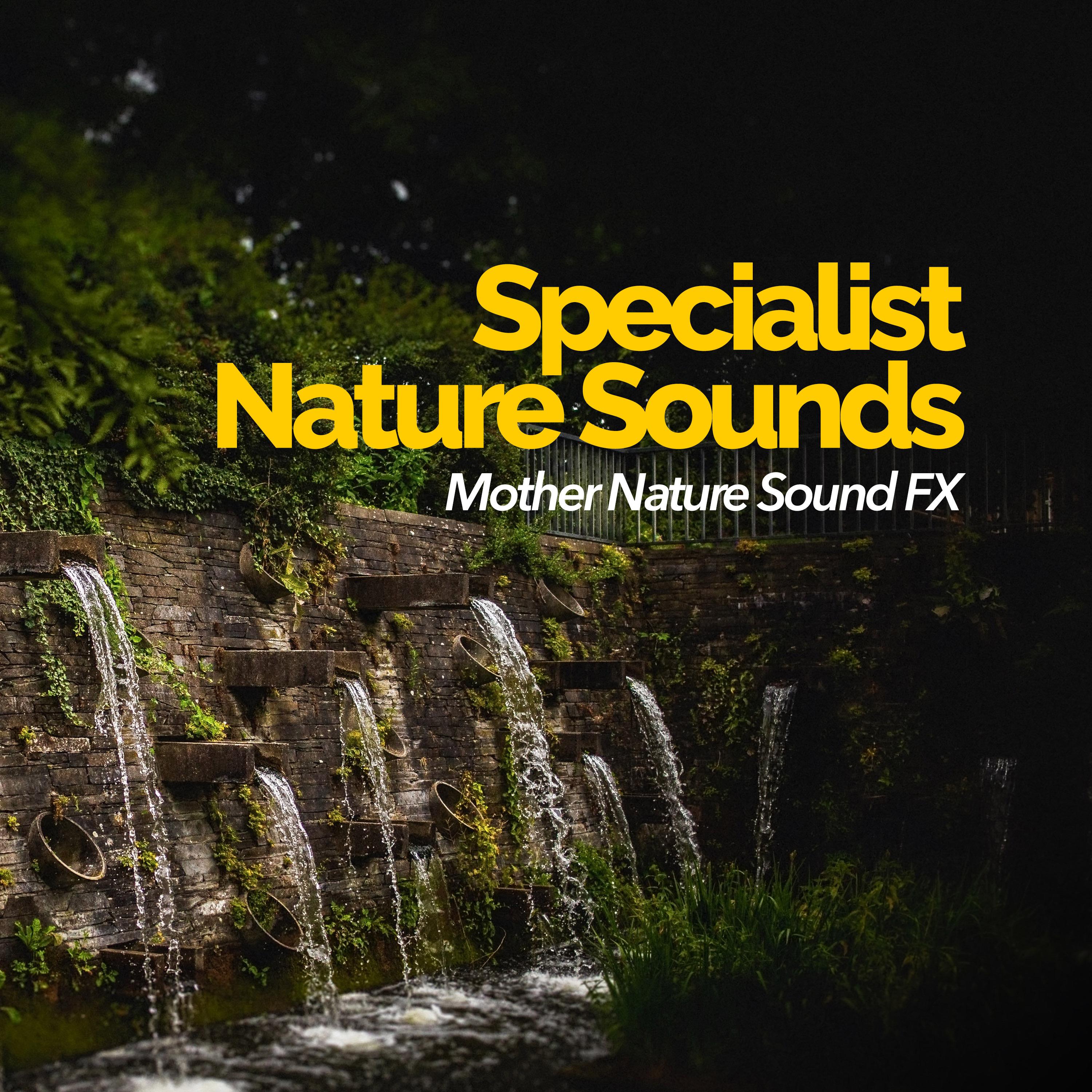 Specialist Nature Sounds