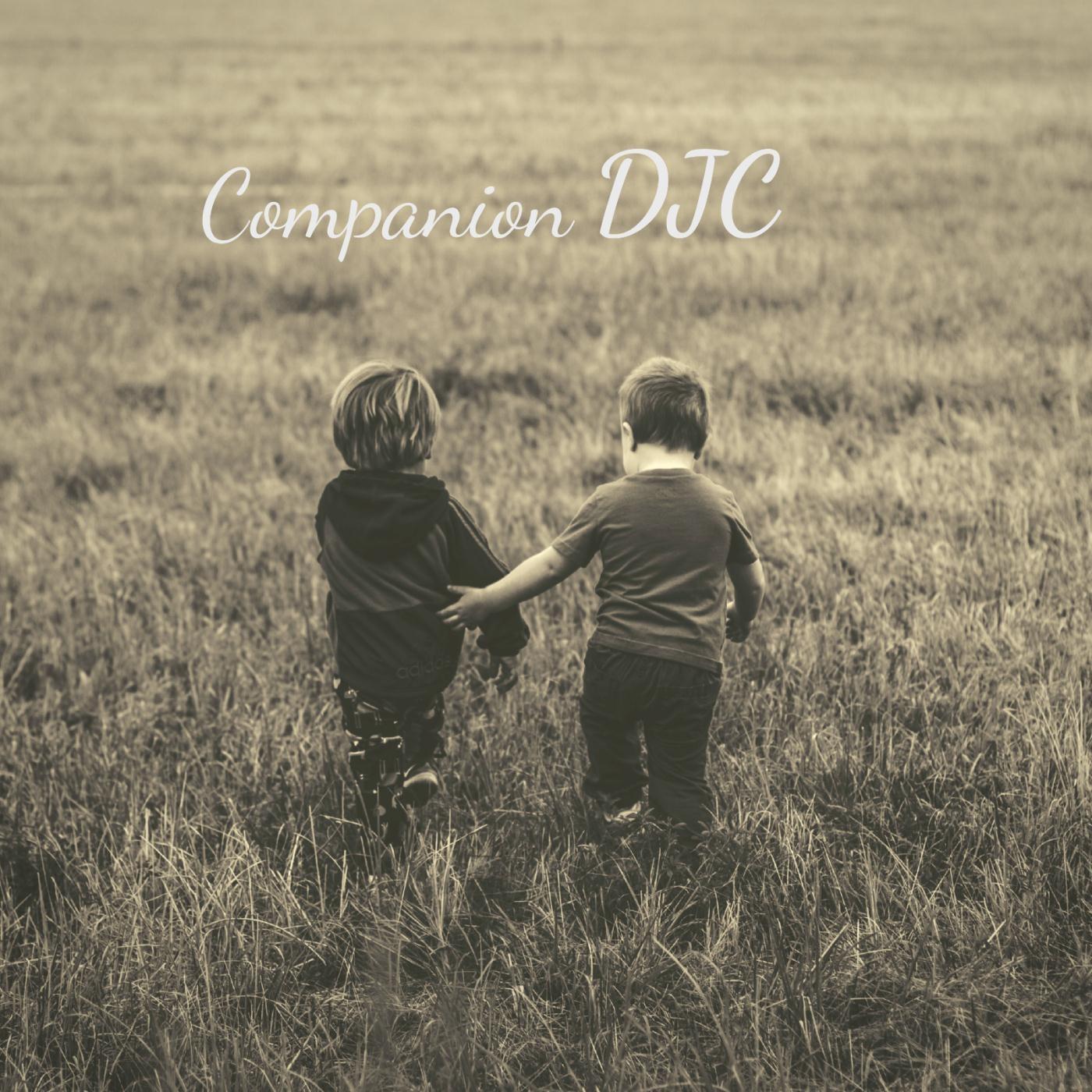 Companion