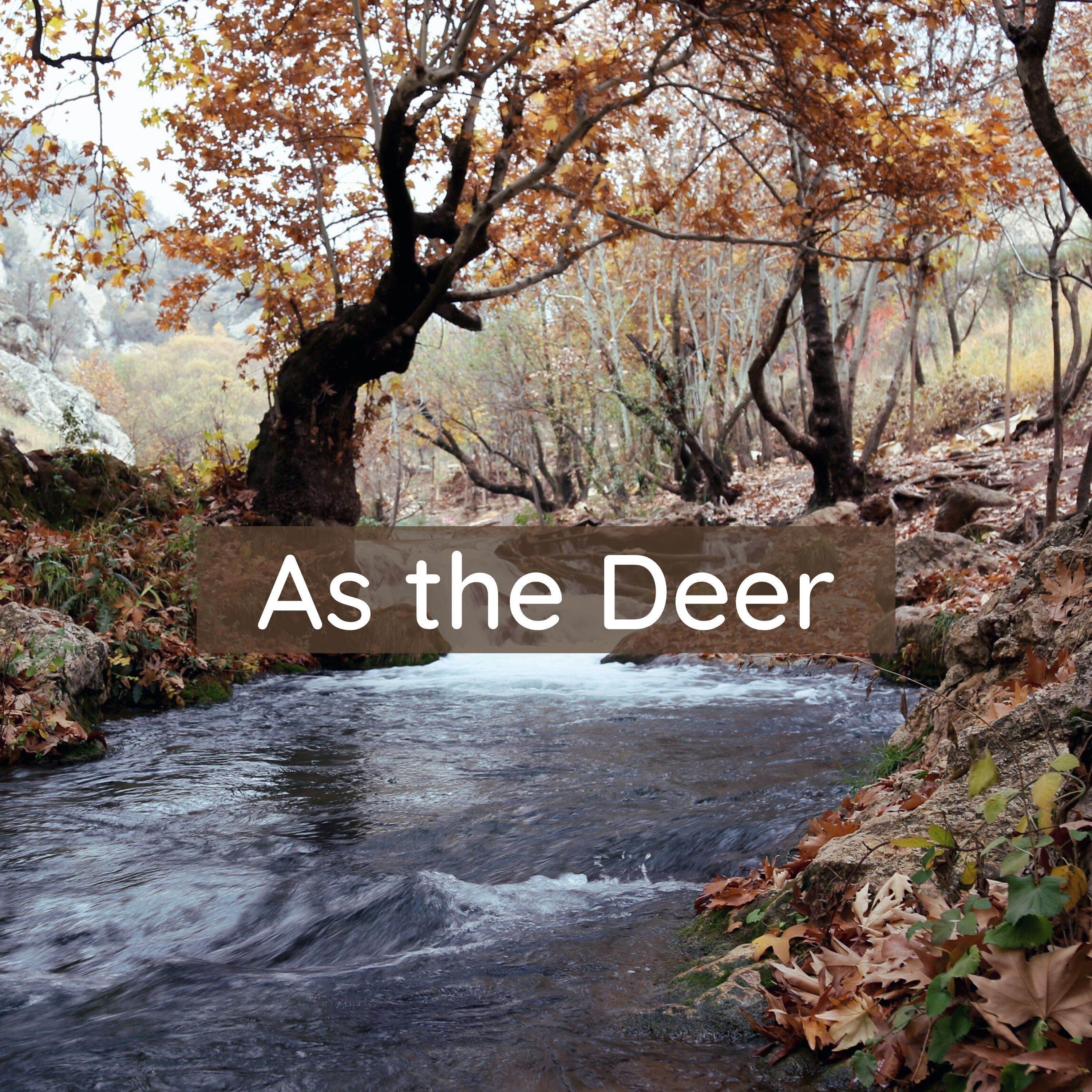 As the Deer