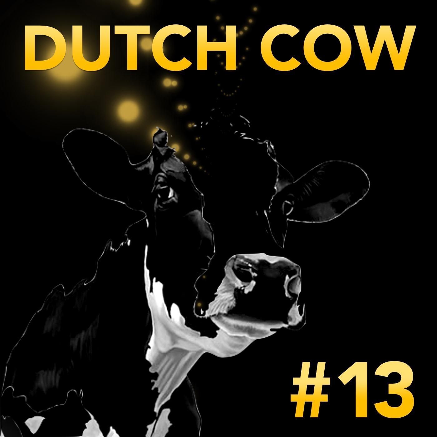 Dutch Cow #13