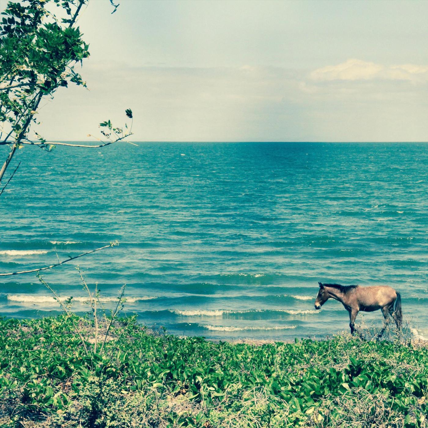 Playa Santo Domingo