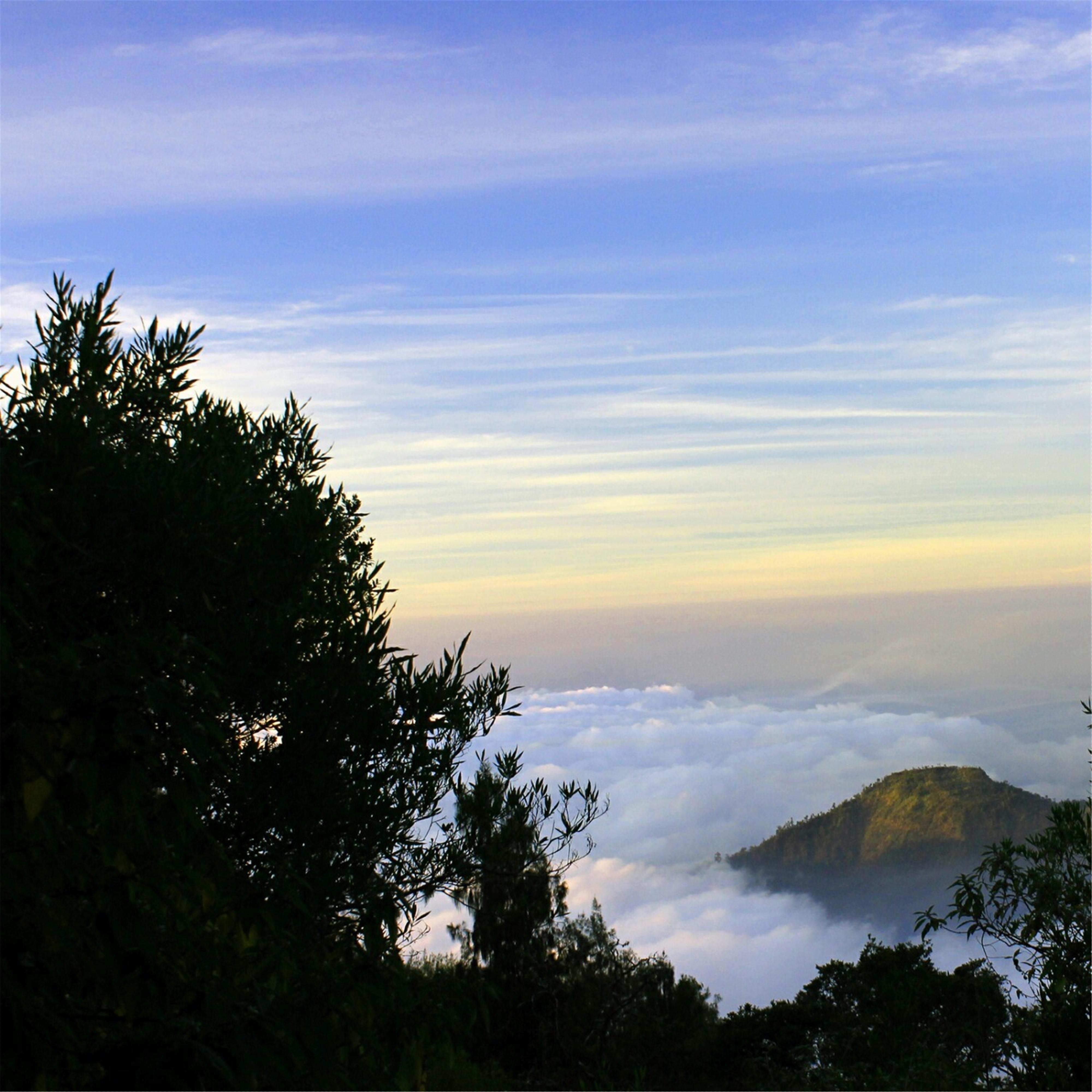 Album Bulan Batu Hiu