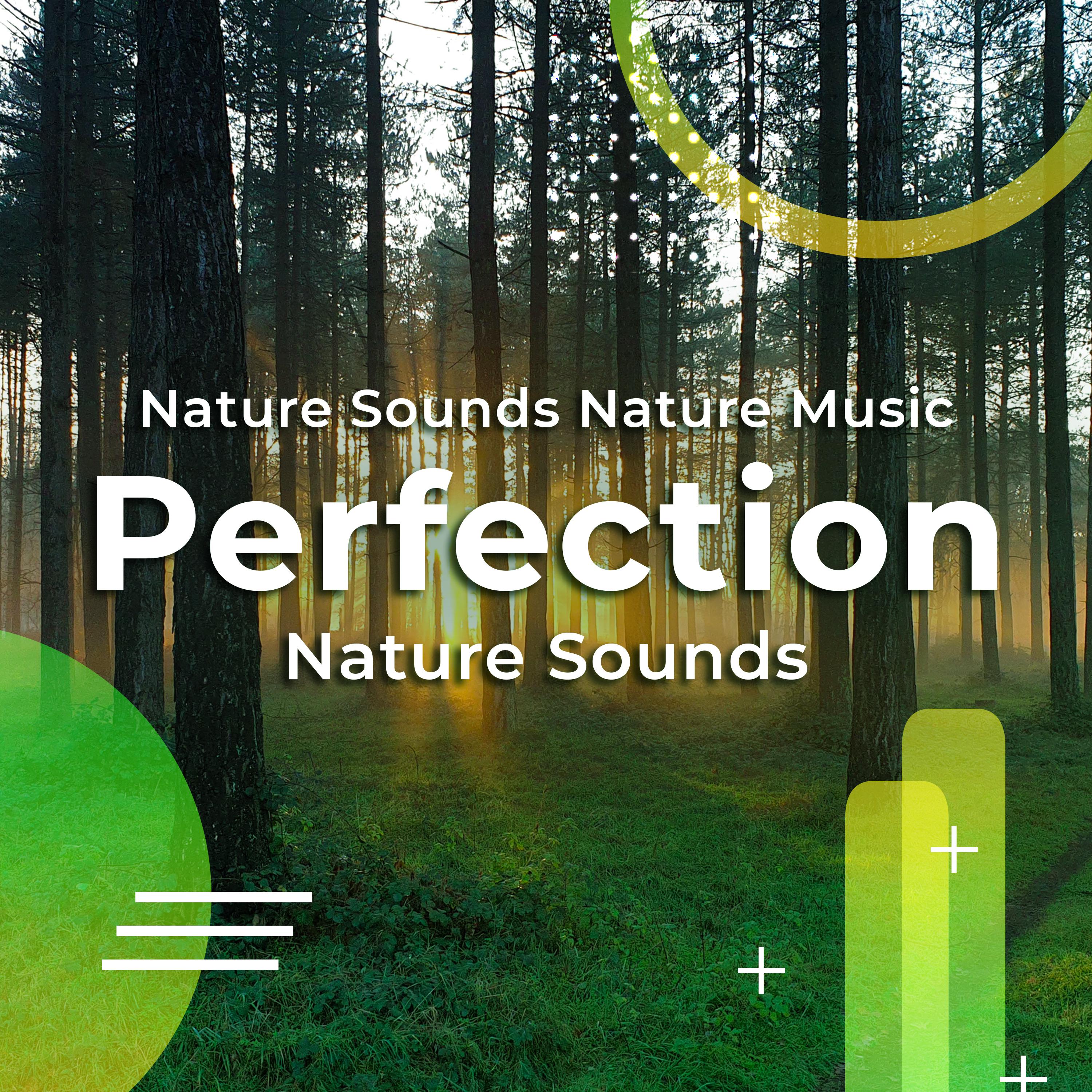 Perfection Nature Sounds