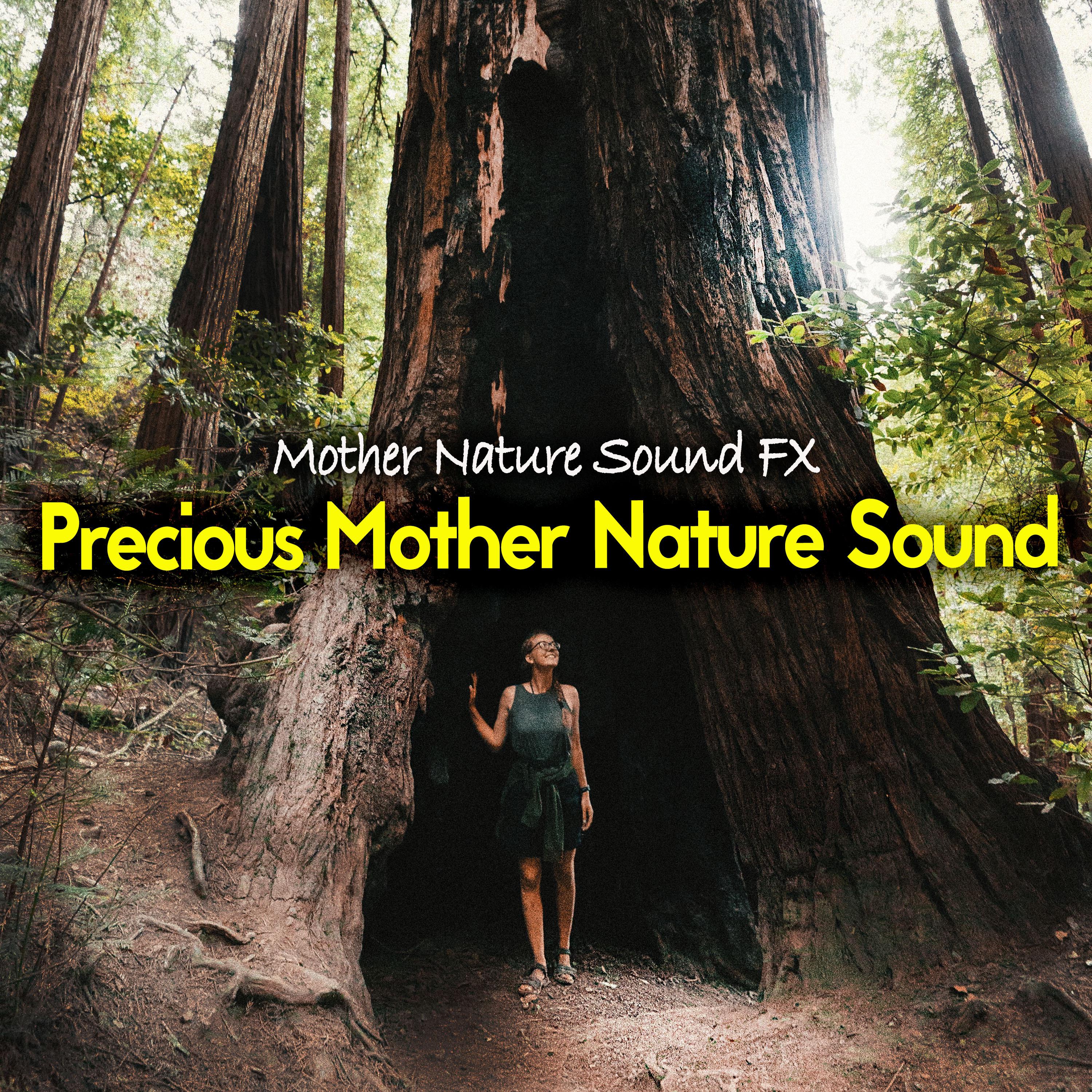 Precious Mother Nature Sound