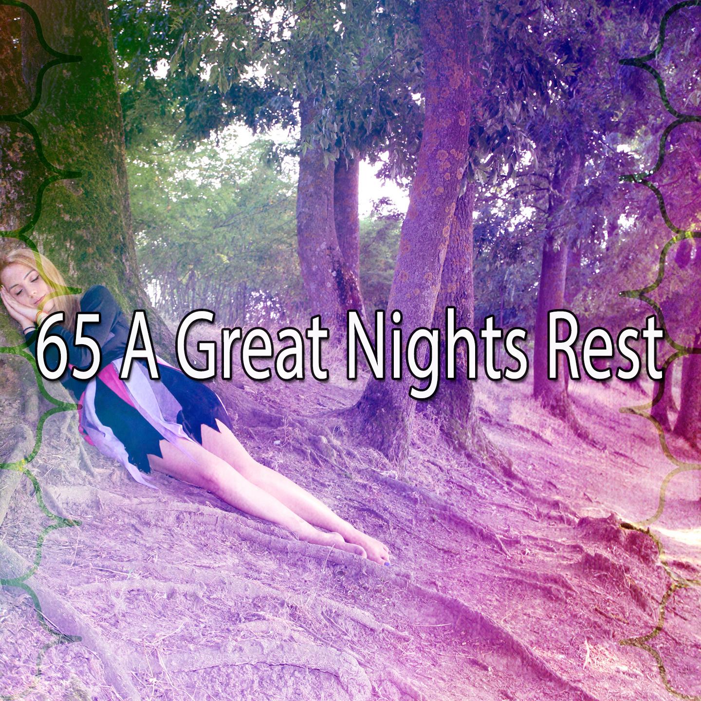 65 A Great Nights Rest