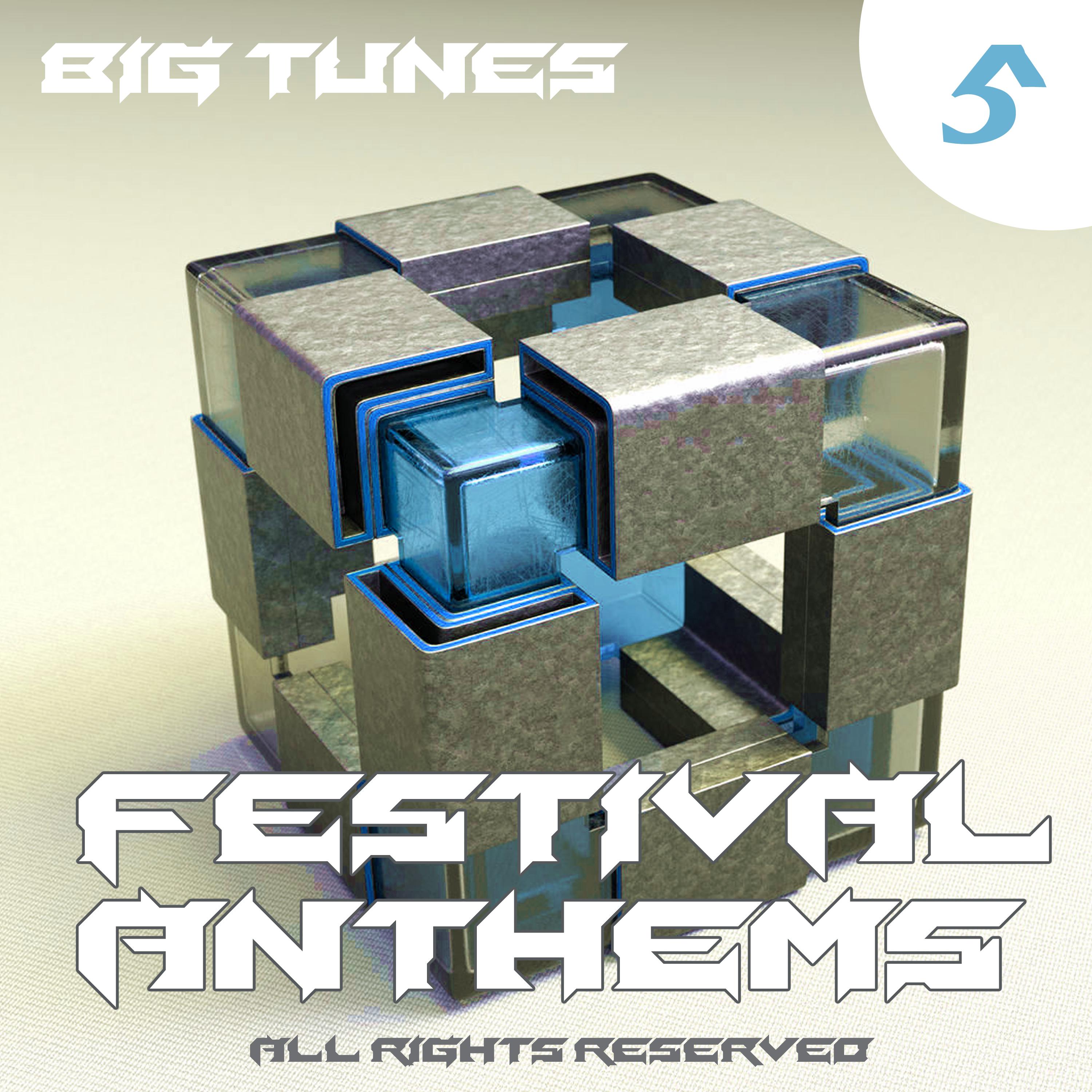 Festival Anthems, Vol. 5