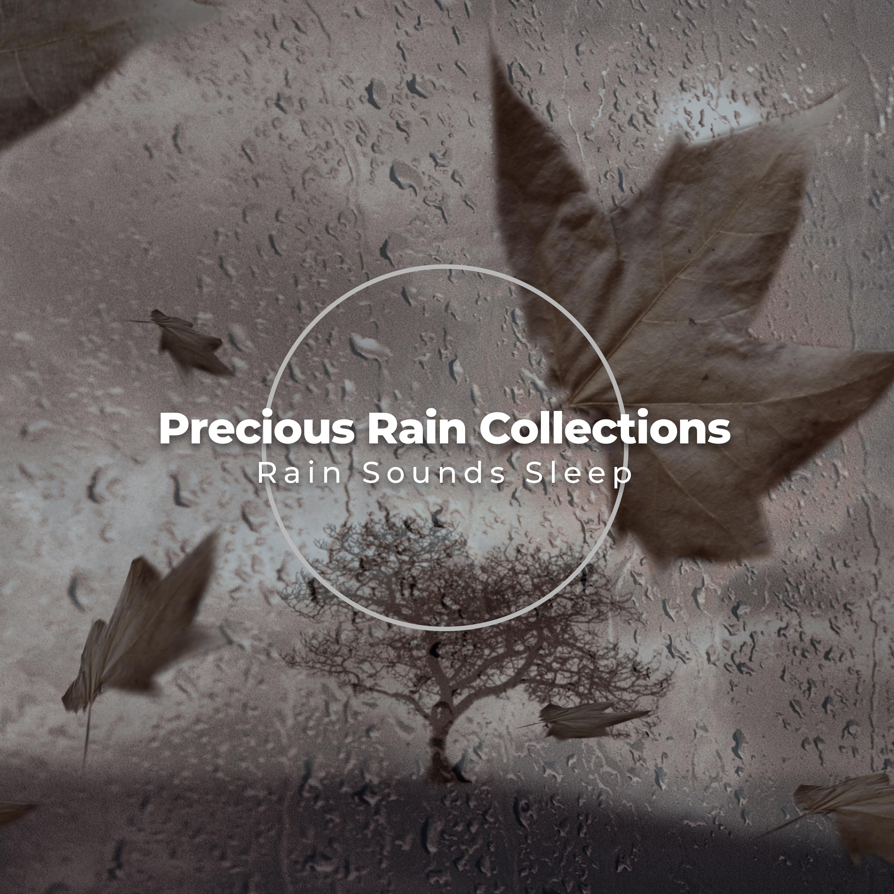 Precious Rain Collections