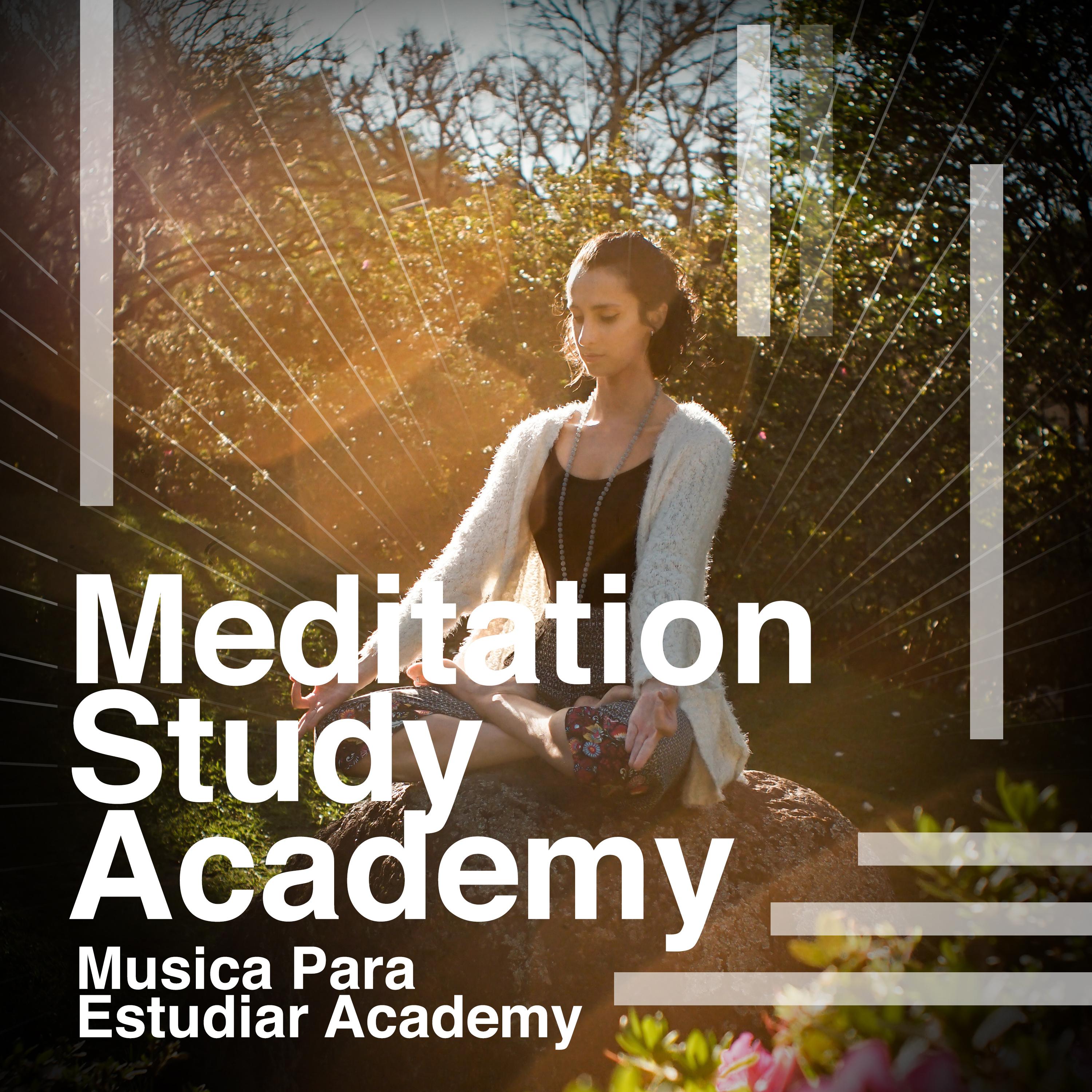 Meditation Study Academy
