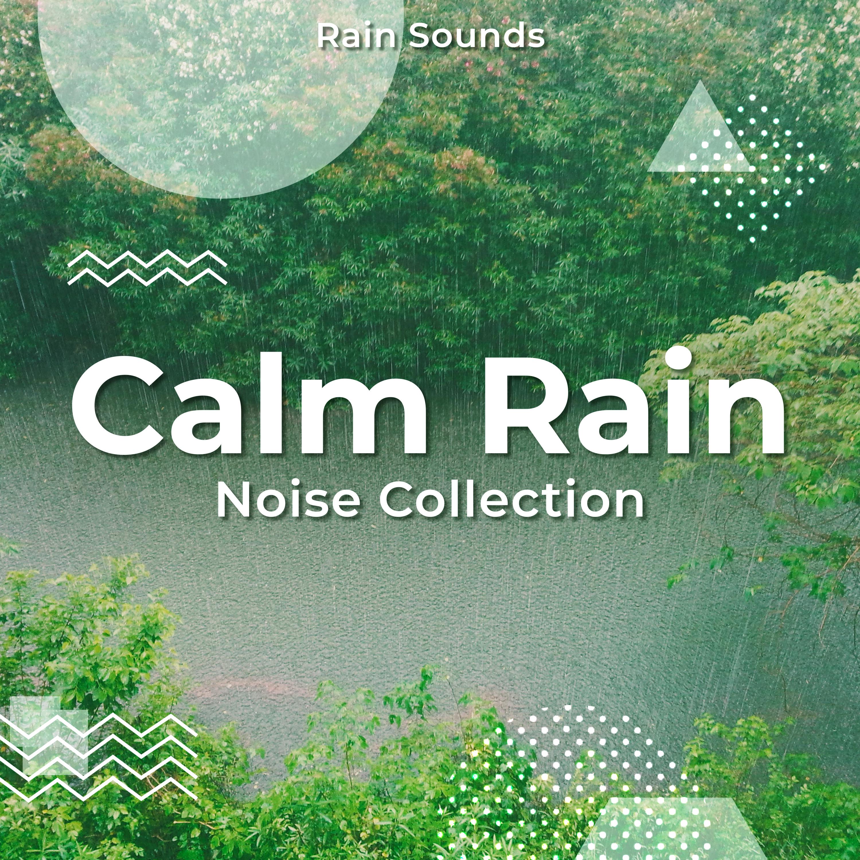 Calm Rain Noise Collection