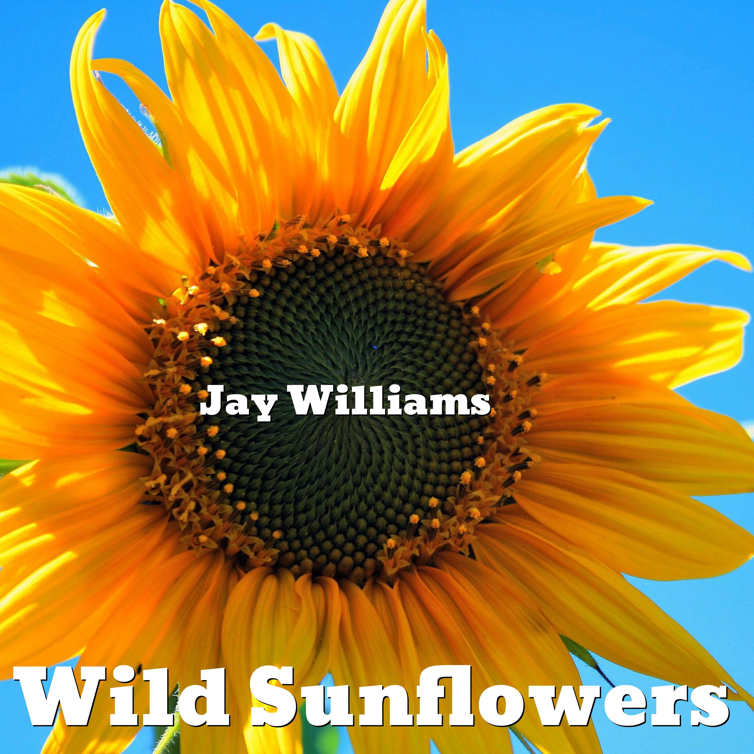 Wild Sunflowers