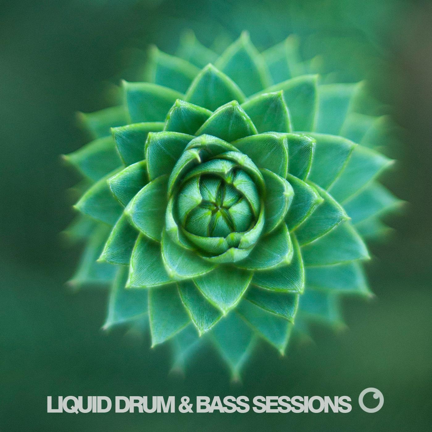 Liquid Drum & Bass Sessions Vol 3