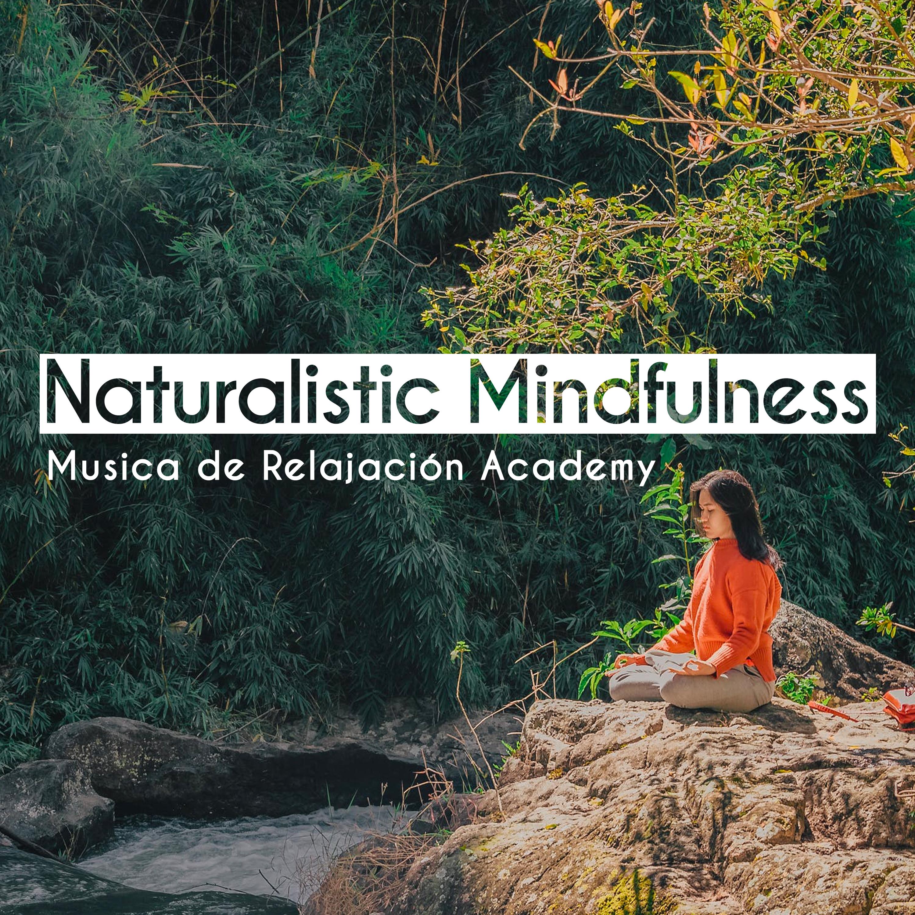 Naturalistic Mindfulness