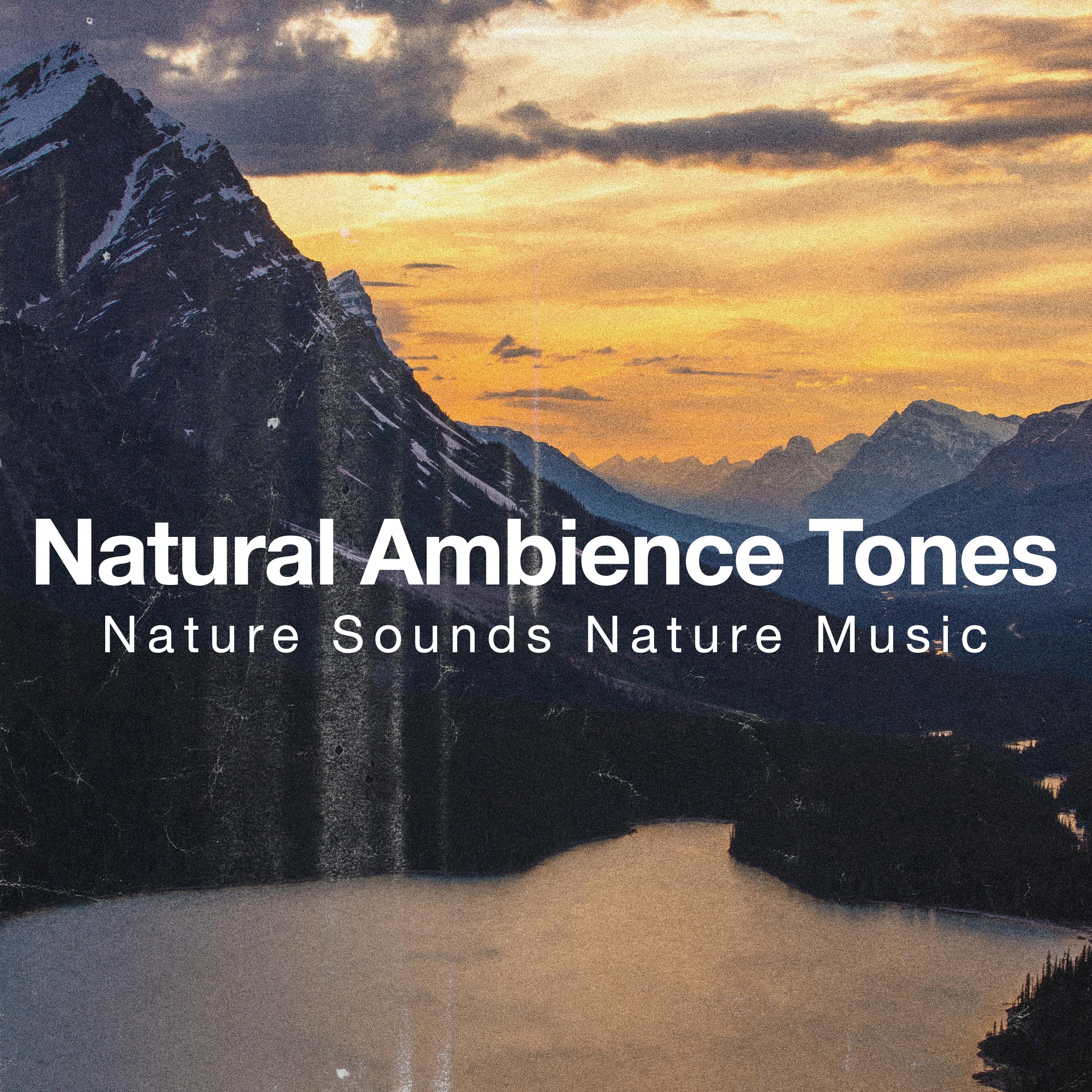 Natural Ambience Tones