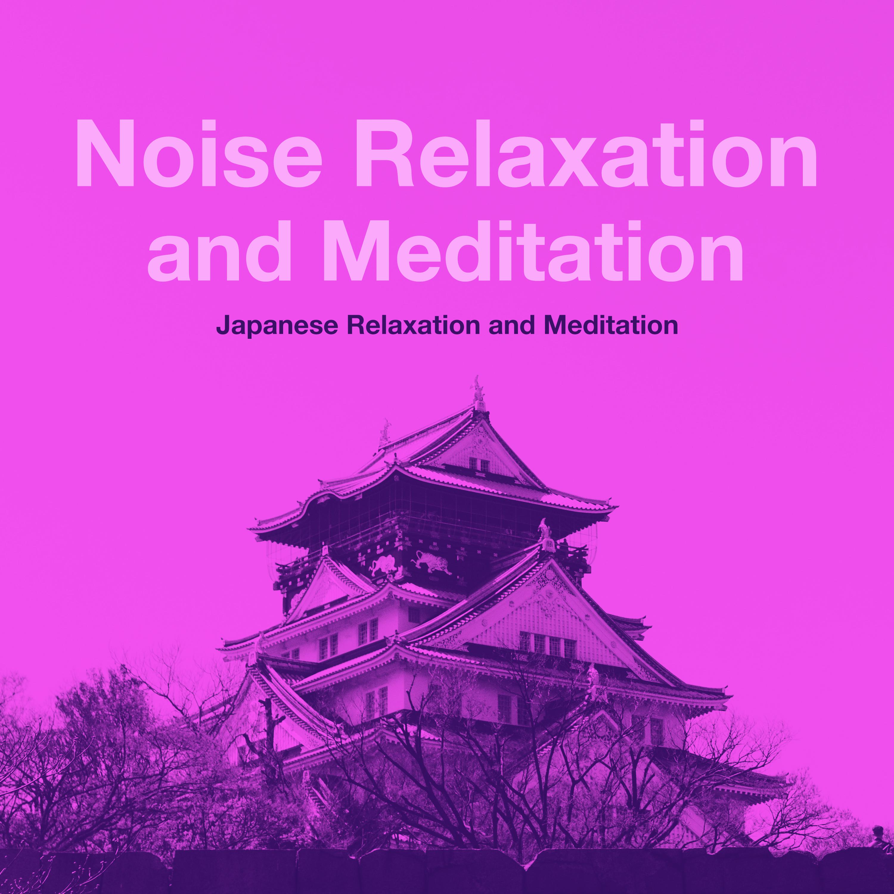 Noise Relaxation and Meditation