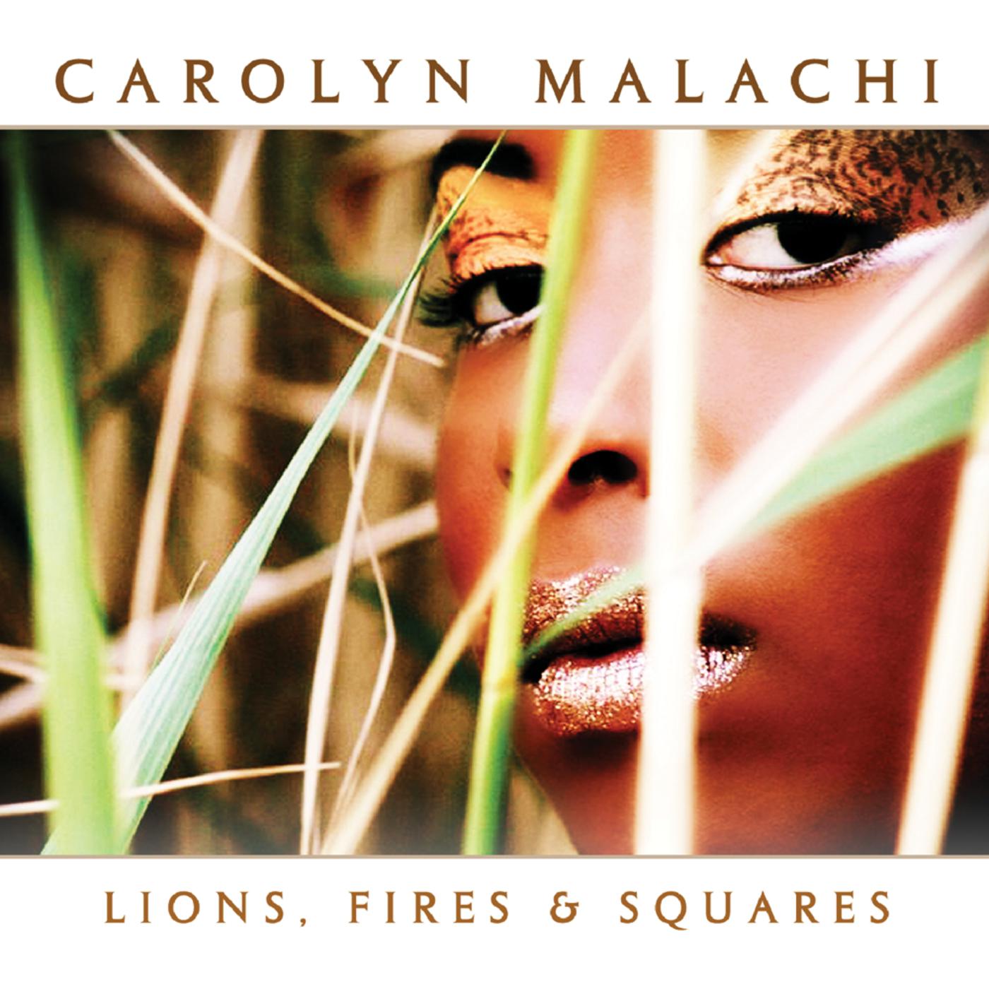 Lions, Fires & Squares