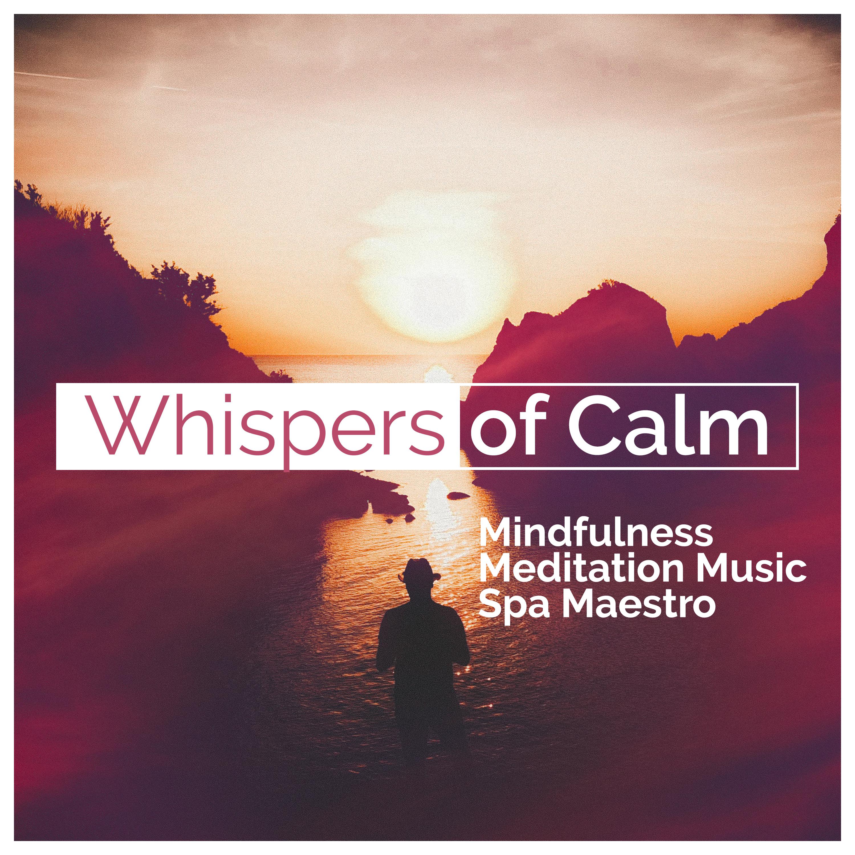 Whispers of Calm